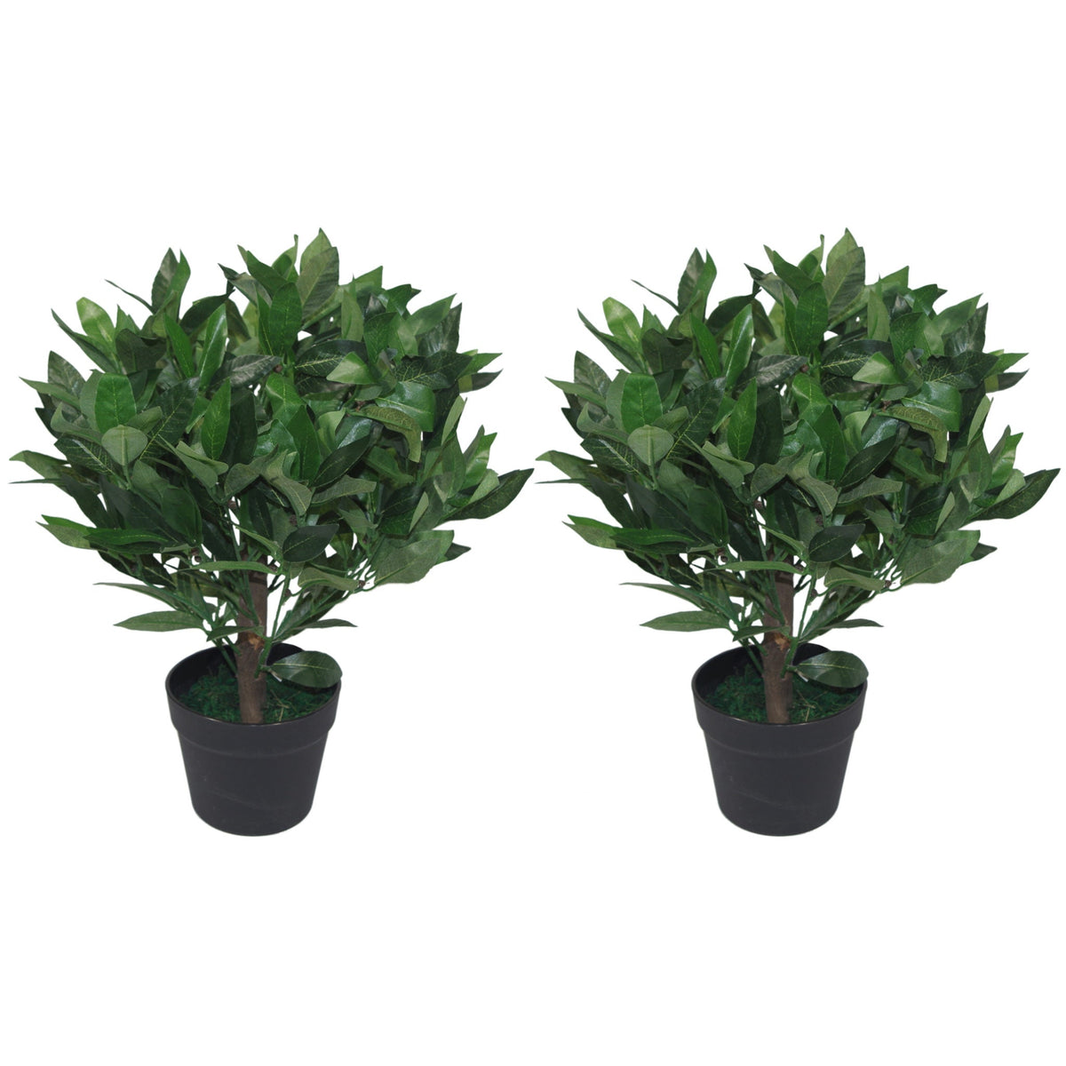 50cm Dwarf Artificial Bay Tree Laurel Topiary Bush – image 3