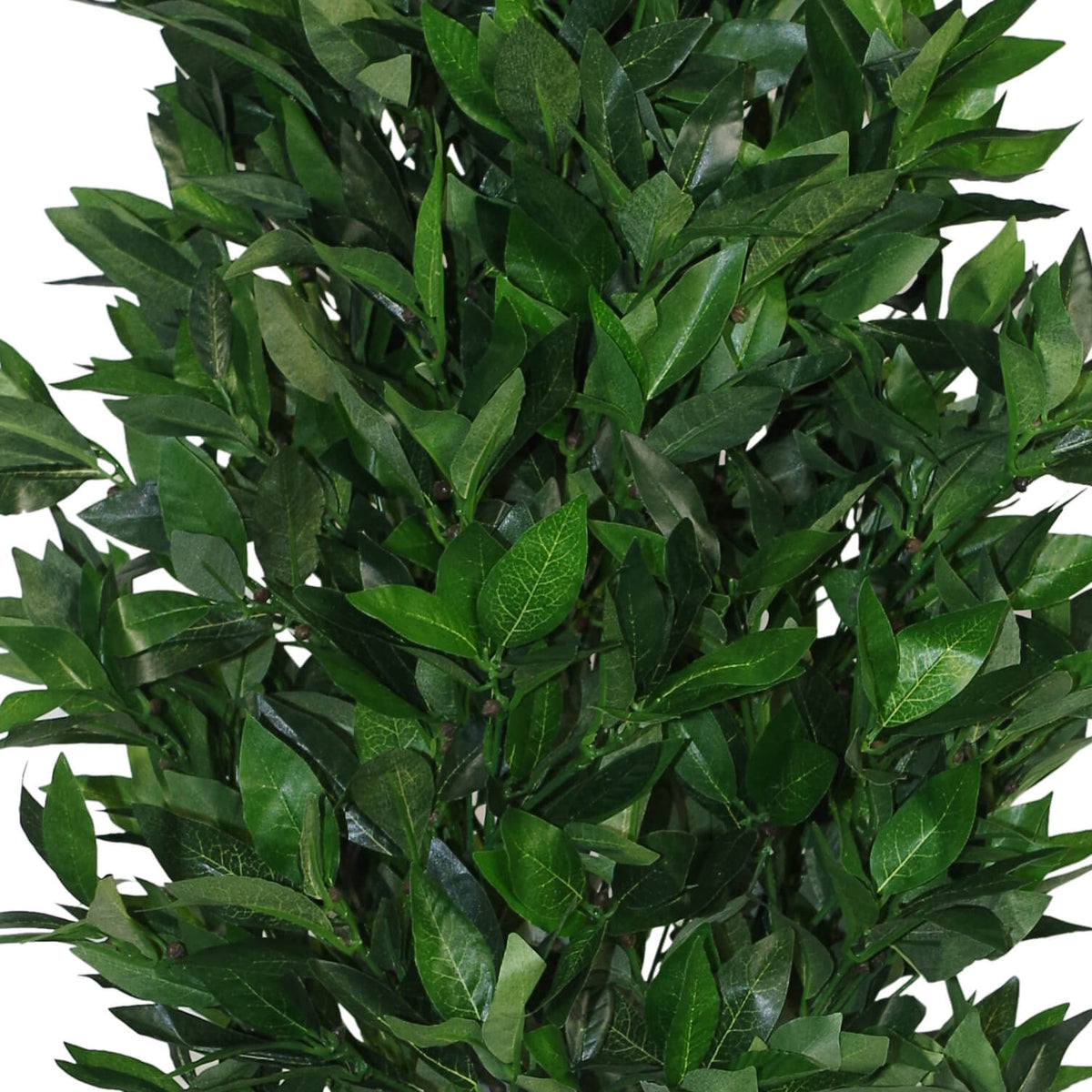 120cm (4ft) Artificial Topiary Bay Tree Pyramid Cone - Extra Large – image 3