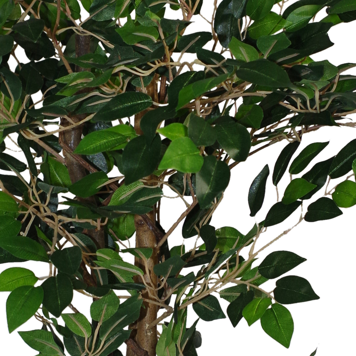 90cm Artificial Ficus 90cm Plant Green - Large – image 3