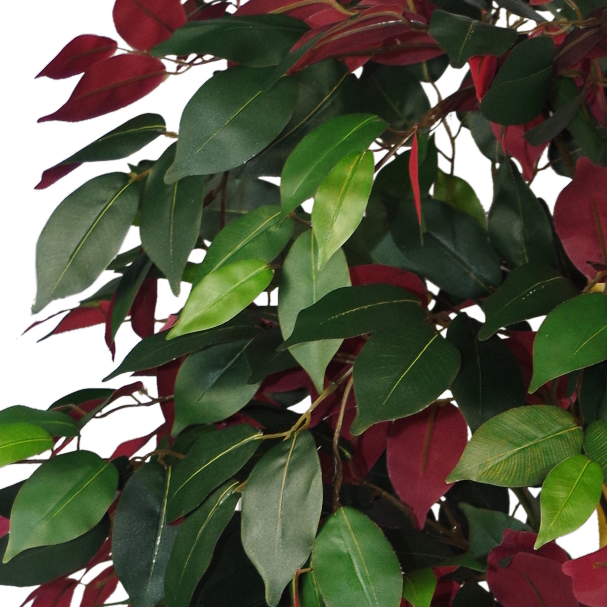 120cm (4ft) Artificial Capensia Red Ficus Tree Ficus Plant - Extra Large – image 3