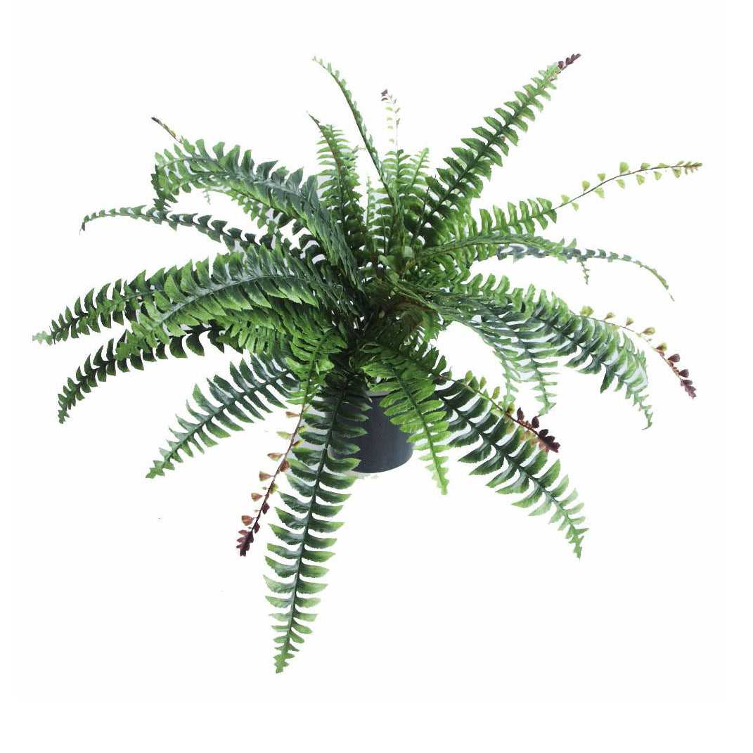 Artificial Boston Fern Plant - 60cm Boston Fern – image 2