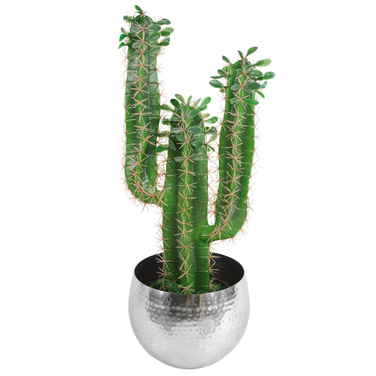 Large Metal Display Bowl Hammered Finish - Straight Edge – image 15