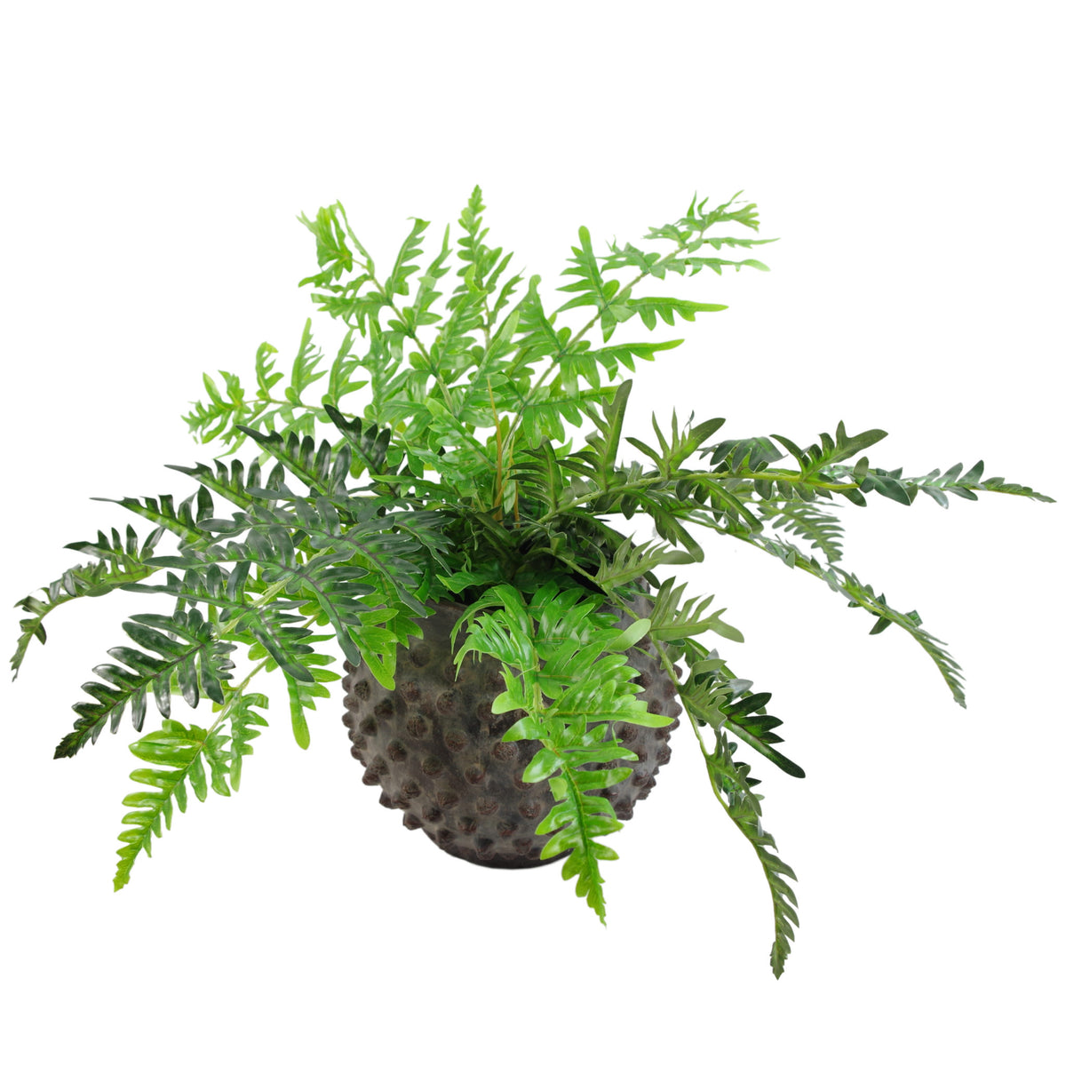 50cm Luxury Artificial Evergreen Fern Plant – image 3