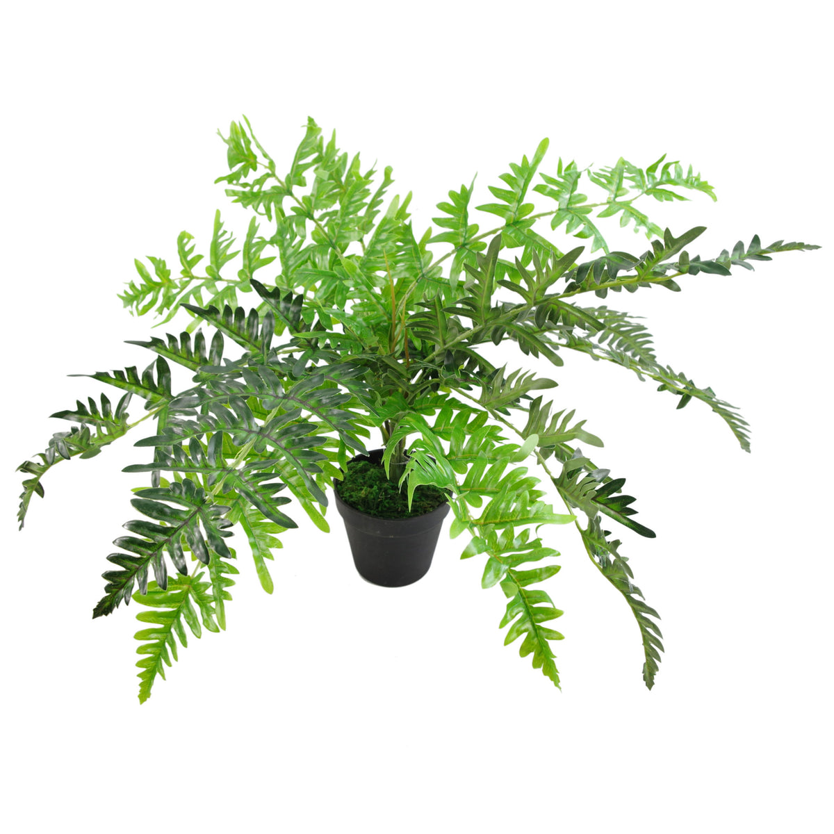 50cm Luxury Artificial Evergreen Fern Plant – image 2