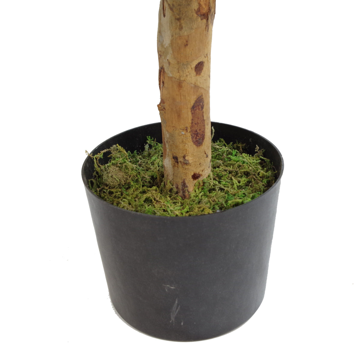 100cm Artificial Dracaena Plant Tree with Pot - Premium Range – image 4