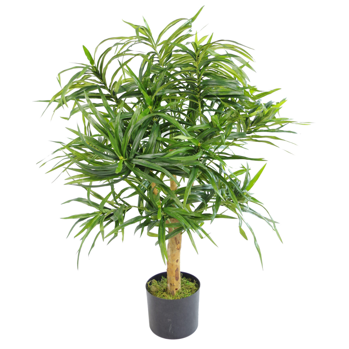 100cm Artificial Dracaena Plant Tree with Pot - Premium Range – image 2