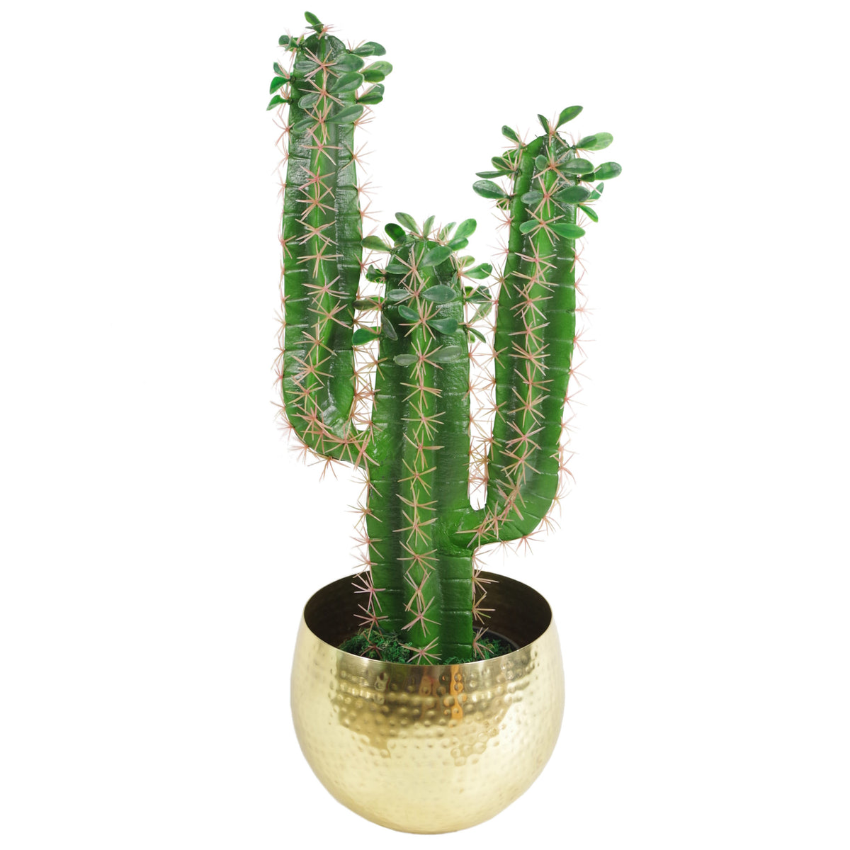 Large Metal Display Bowl Hammered Finish - Straight Edge – image 13