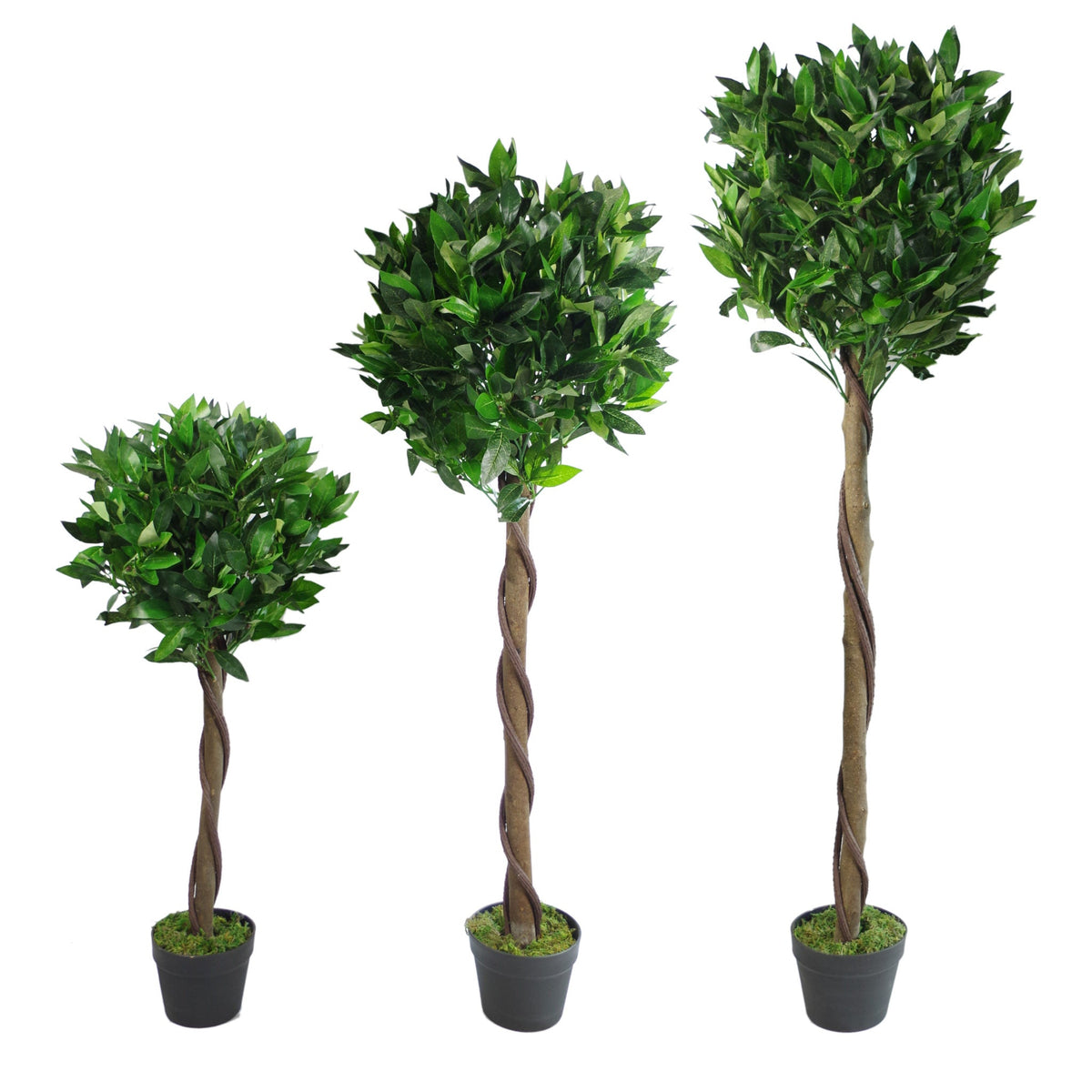 Artificial Bay Trees Natural Twist Trunk Topiary Bay Laurel Ball Tree – image 10