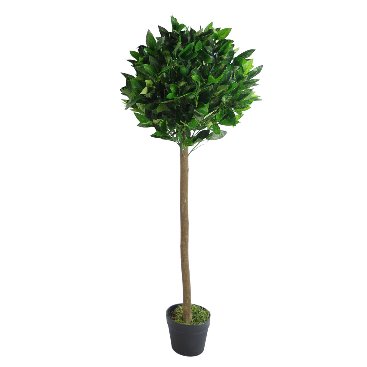 Artificial Bay Trees Natural Straight Trunk Topiary Bay Laurel Ball Tree – image 9