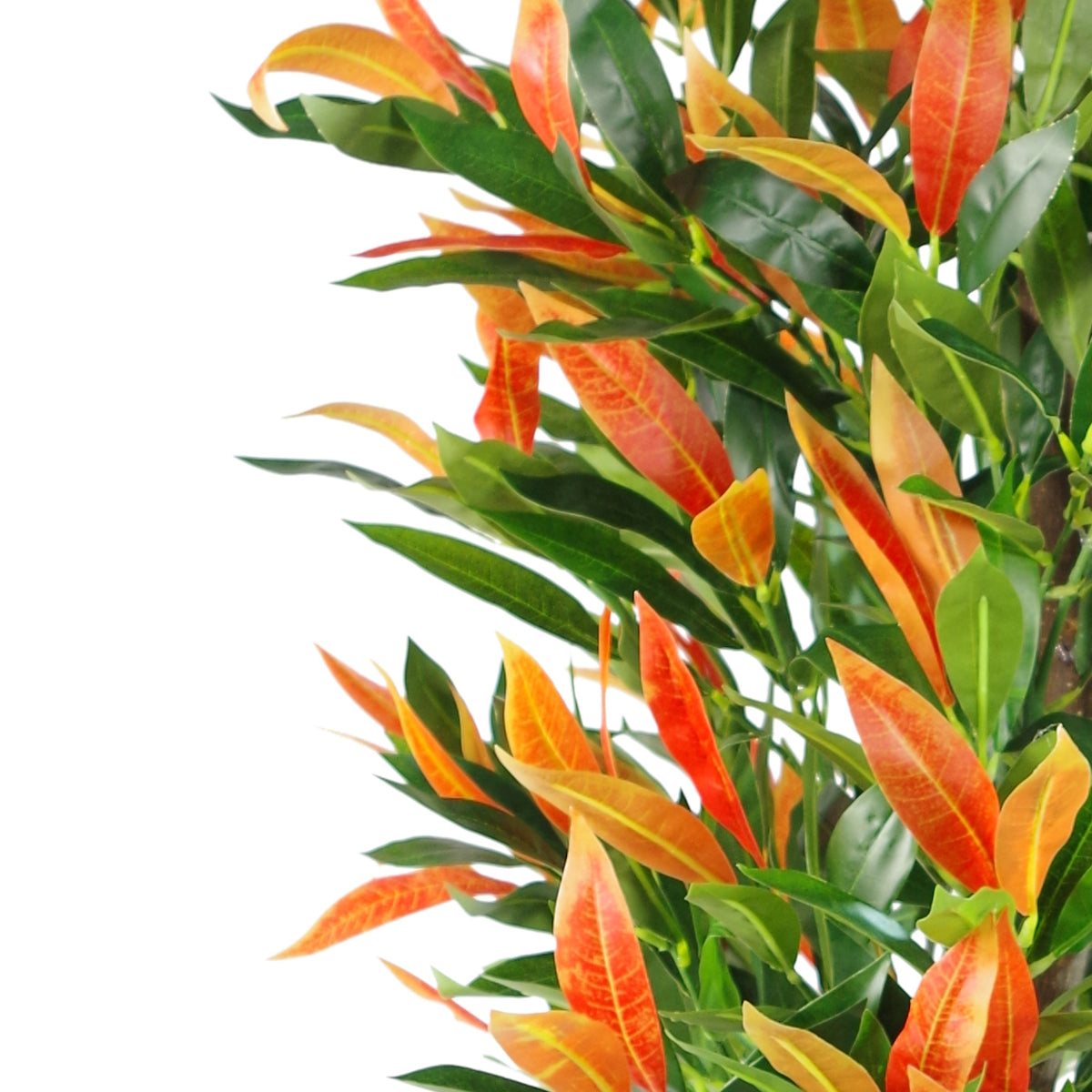 130cm Artificial Red & Green Ficus Tree – image 4