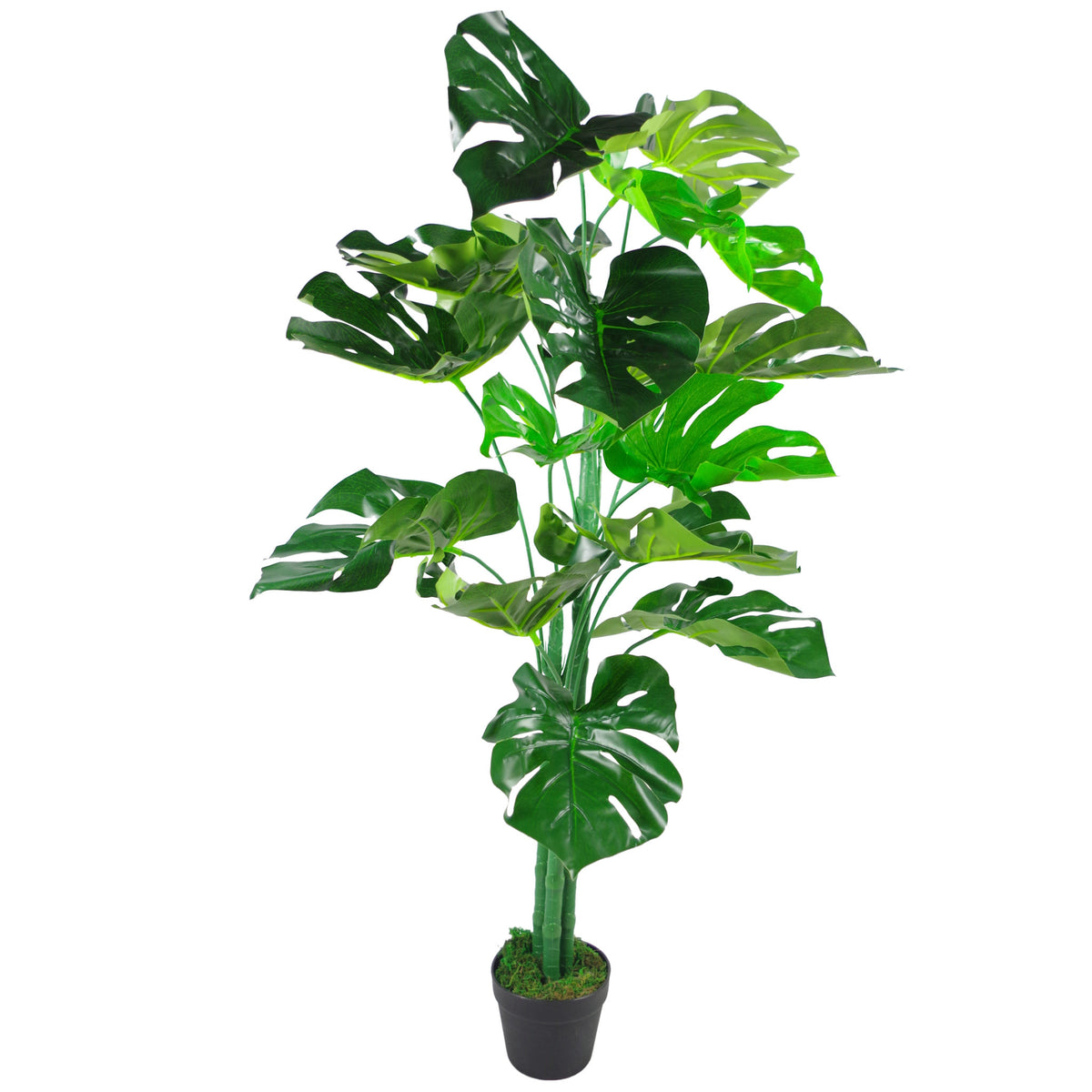 Artificial Monstera Plant - 120cm Monstera