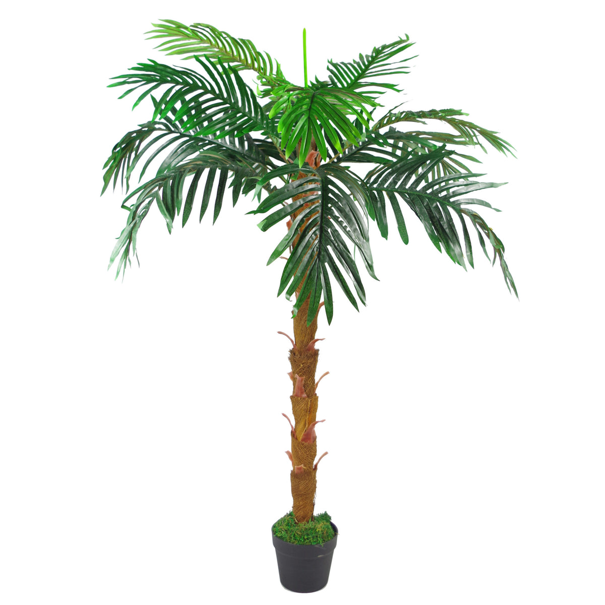 130cm Artificial Princess Palm Tree Natural Trunk – image 2