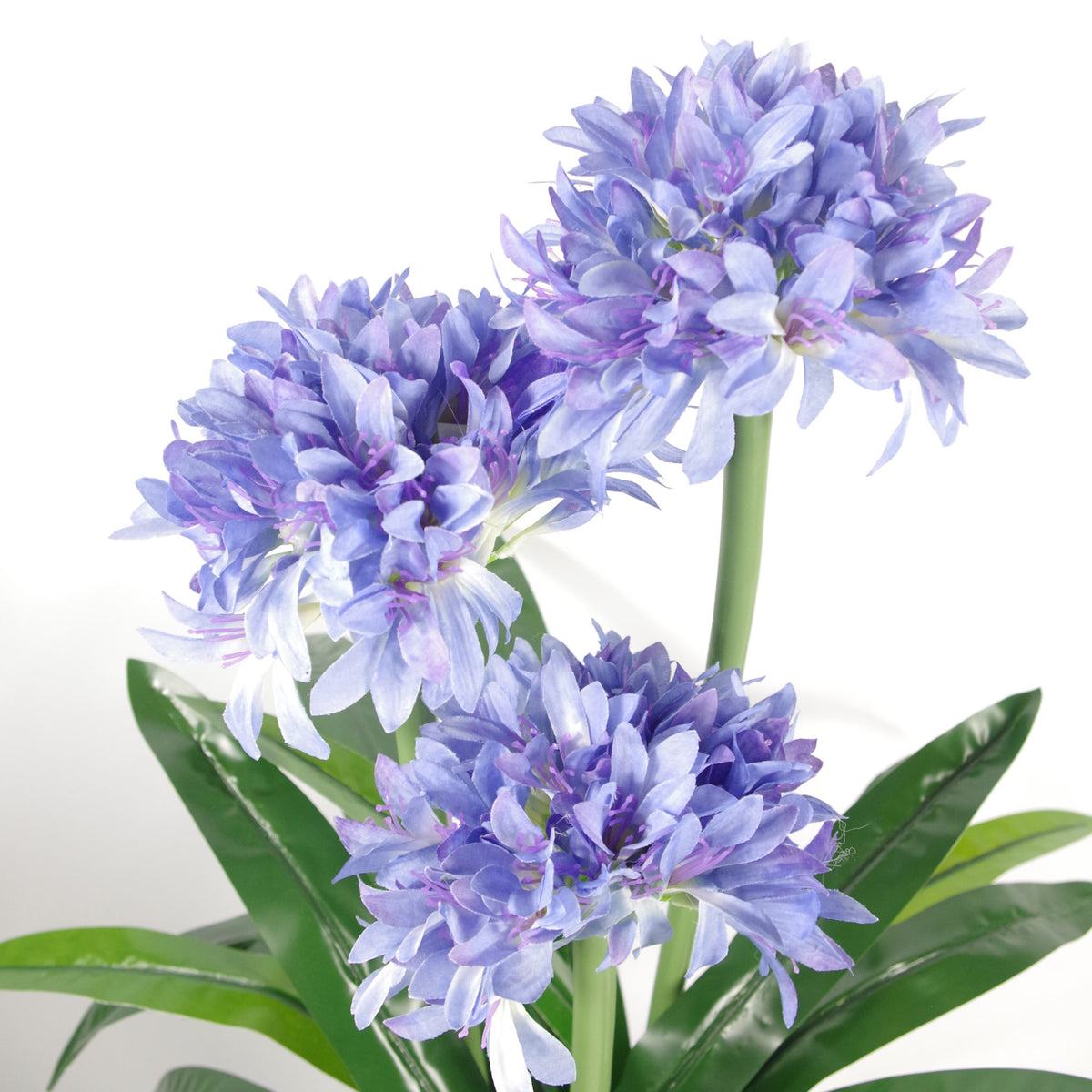 90cm Premium Artificial Agapanthus with pot BLUE – image 2