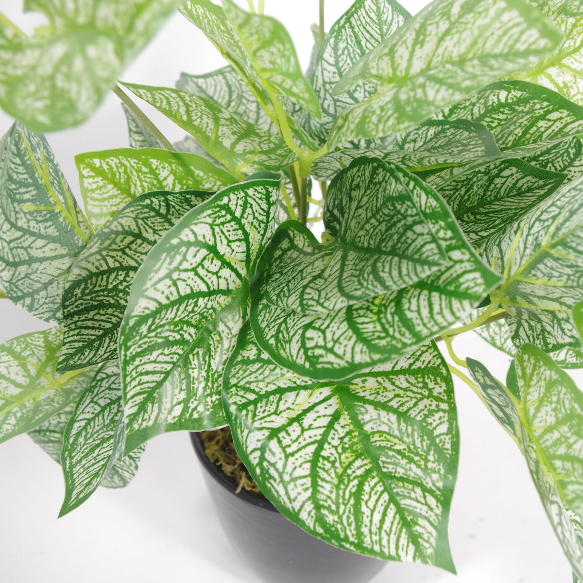 40cm Artificial Caladium Plant with pot – image 2