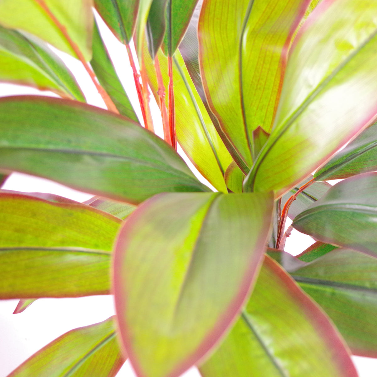 100cm Artificial Potted Dracaena Tropical Plant – image 4