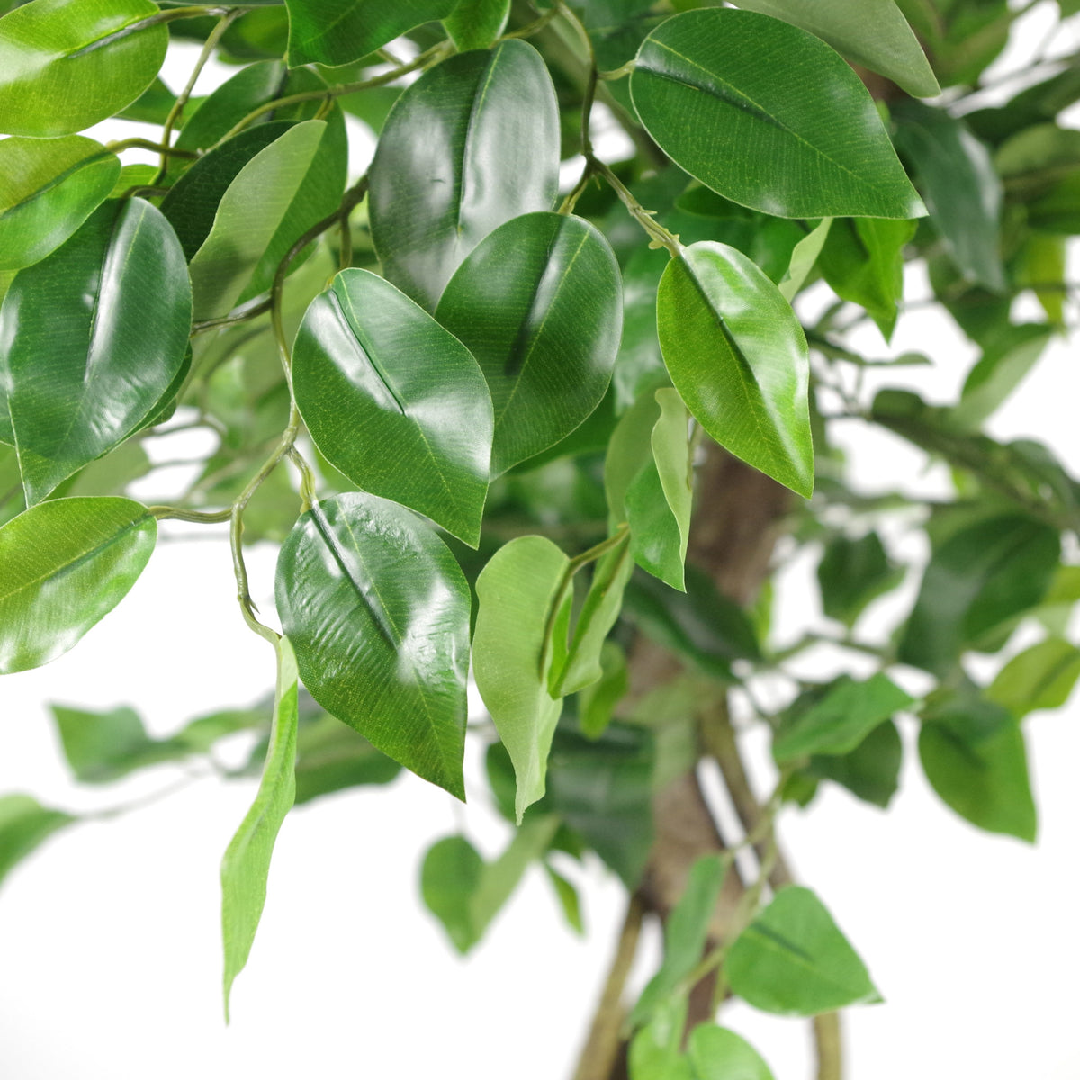 120cm Twisted Trunk Artificial Japanese Fruticosa Style Ficus Tree – image 4