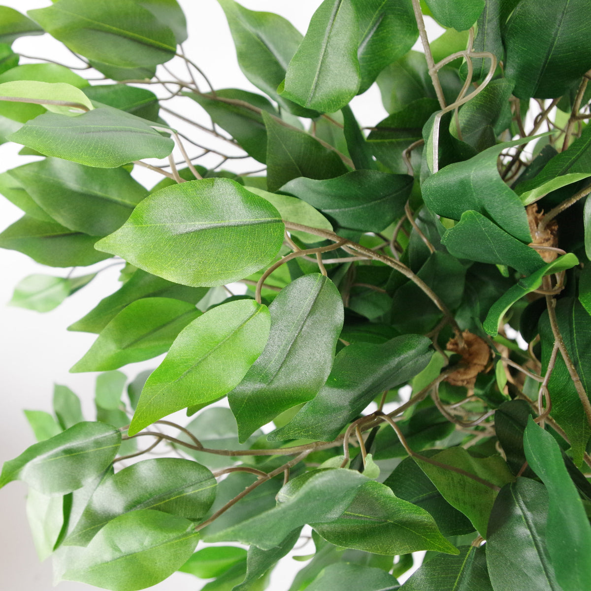 90cm Artificial Evergreen Ficus Tree – image 3