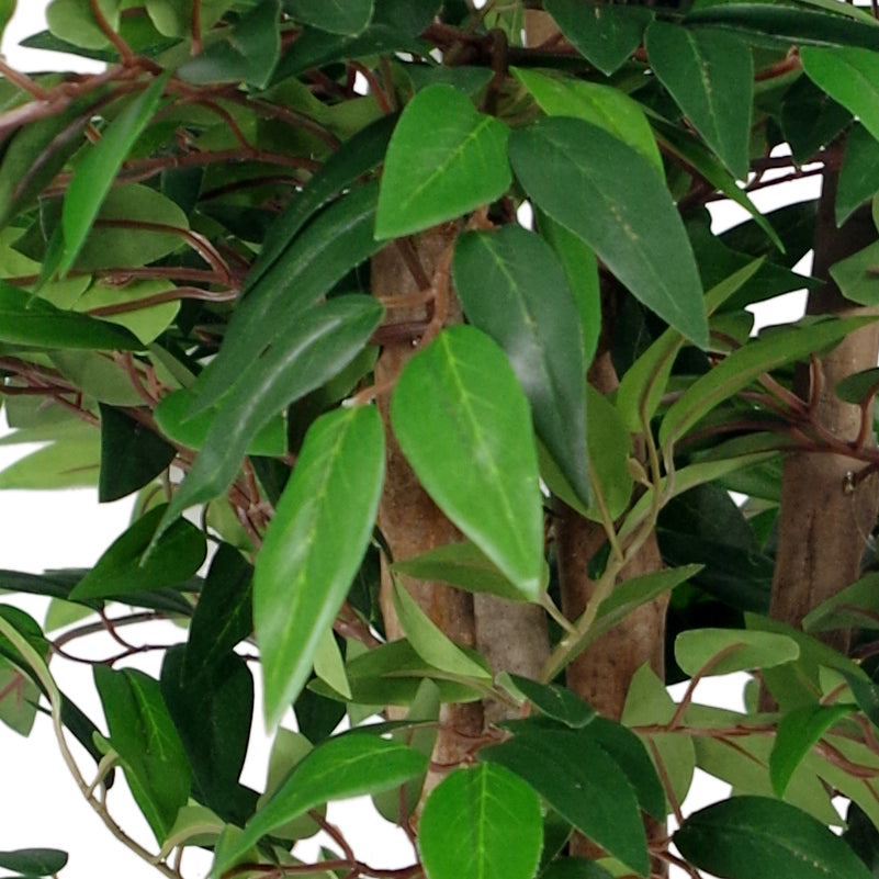 90cm Luxury Smilax Sarsaparilla Artificial Ficus Tree - Premium Range – image 3