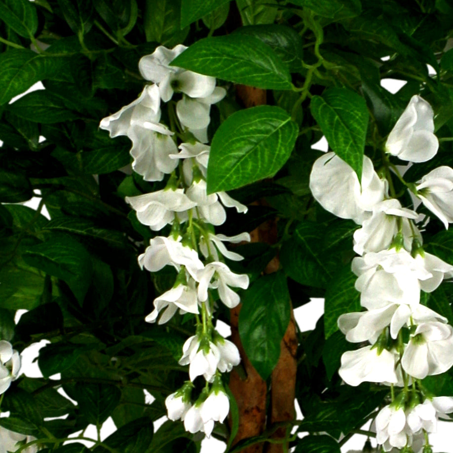130cm Luxury Artificial Wisteria Tree White Flowers - Premium Range – image 10