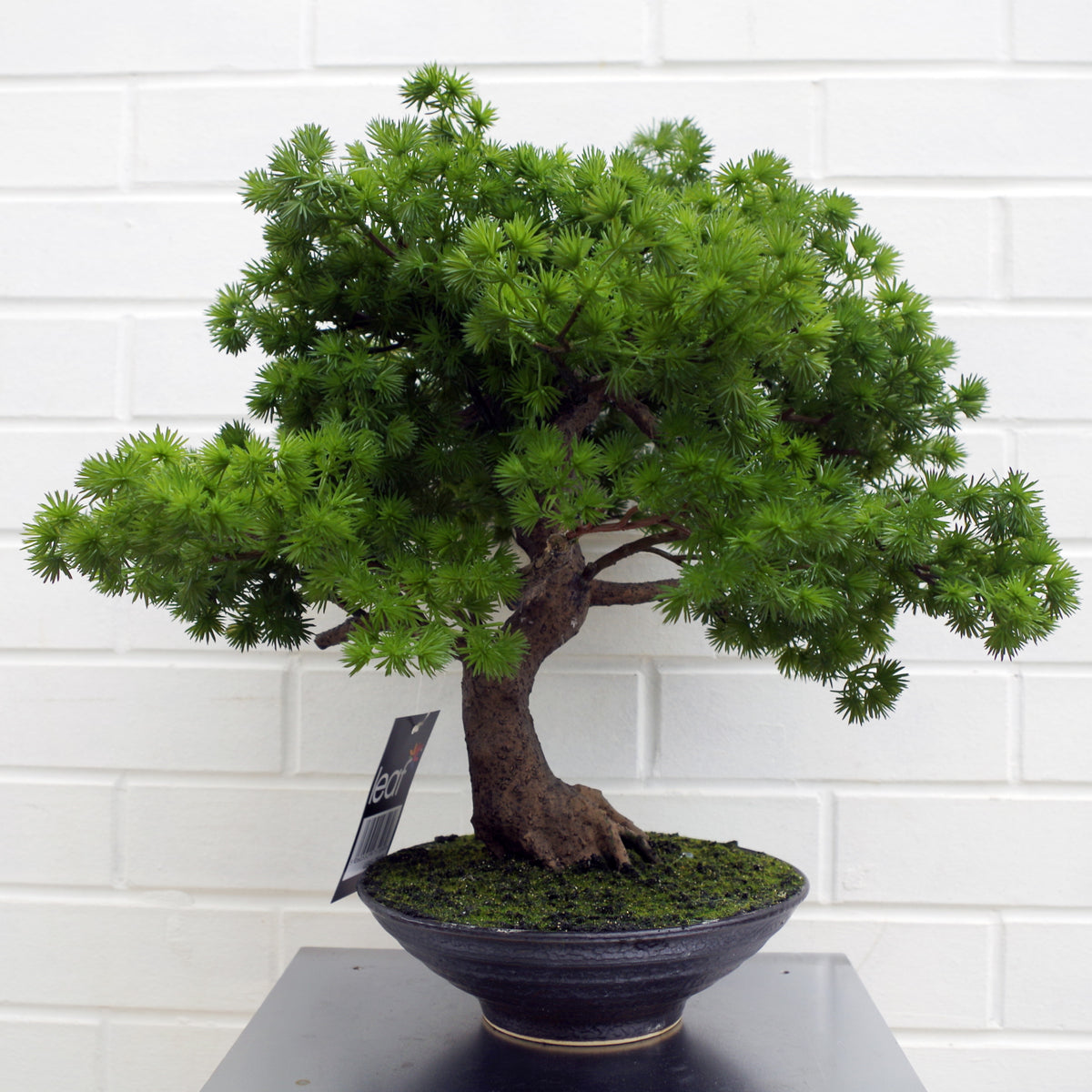 50cm Artificial Luxury Pine Bonsai Tree – image 2