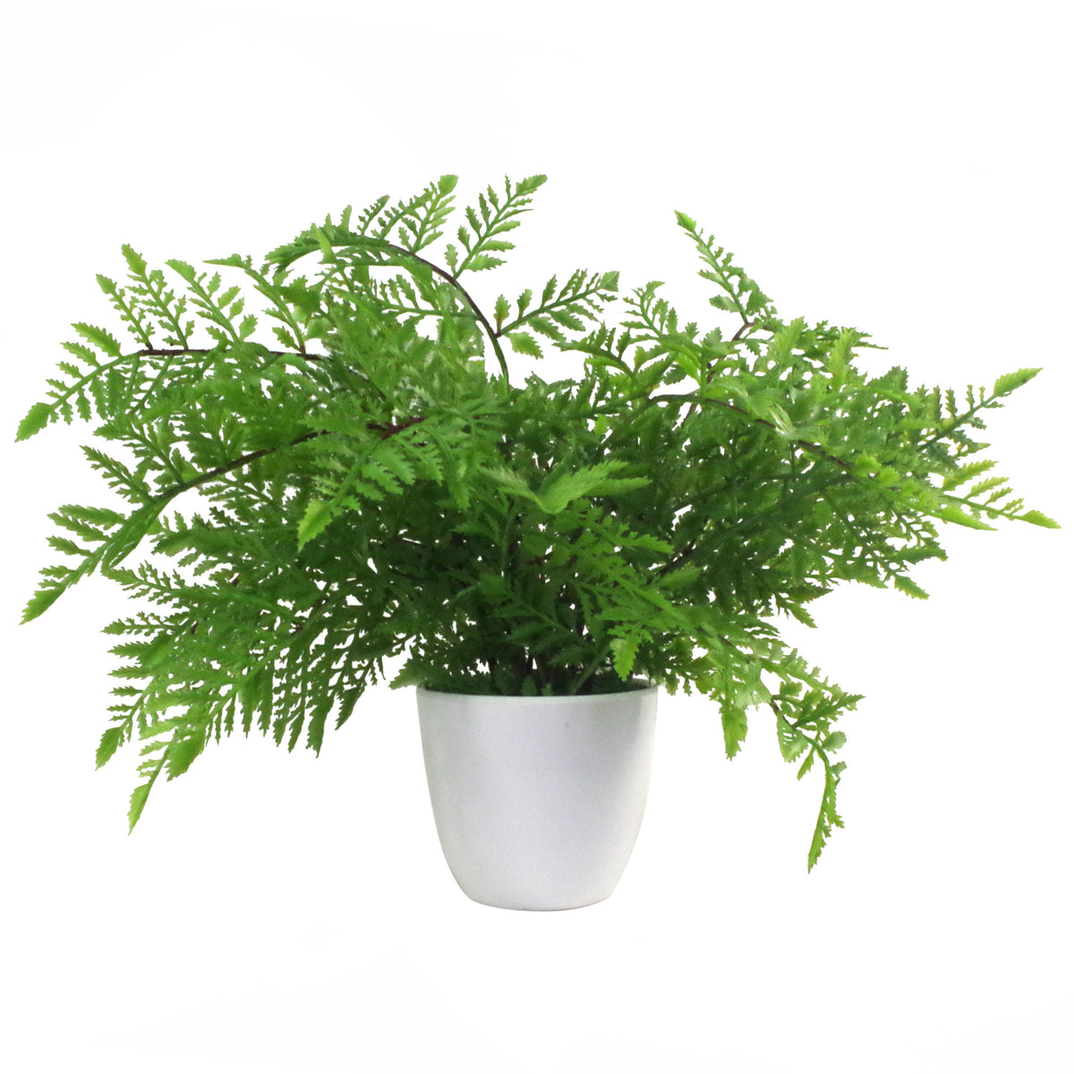 30cm Artificial Potted Southern Wood Fern – image 2