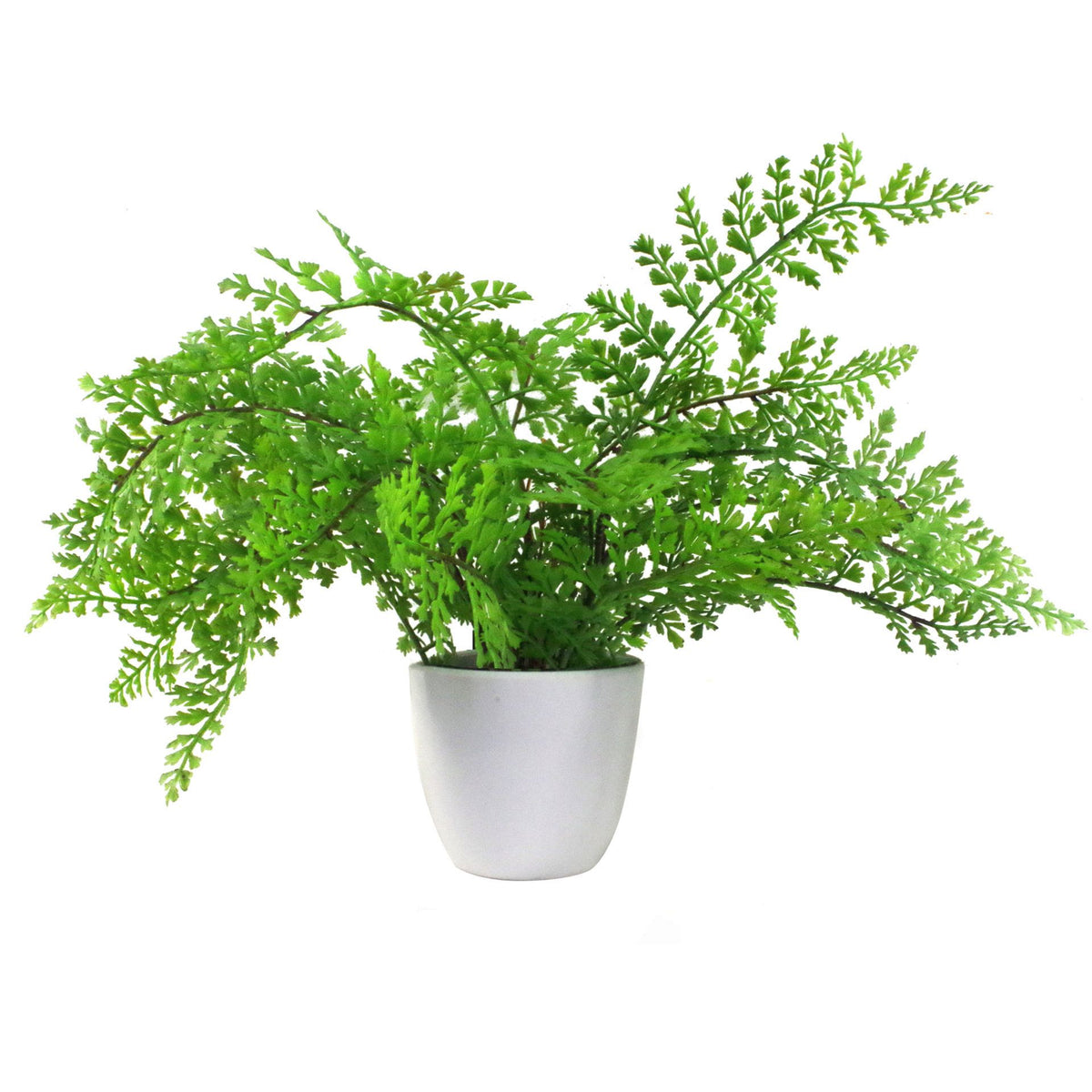Pack of 3 x 30cm Artificial Ferns - Southern Wood - Lady and Royal - Potted – image 8