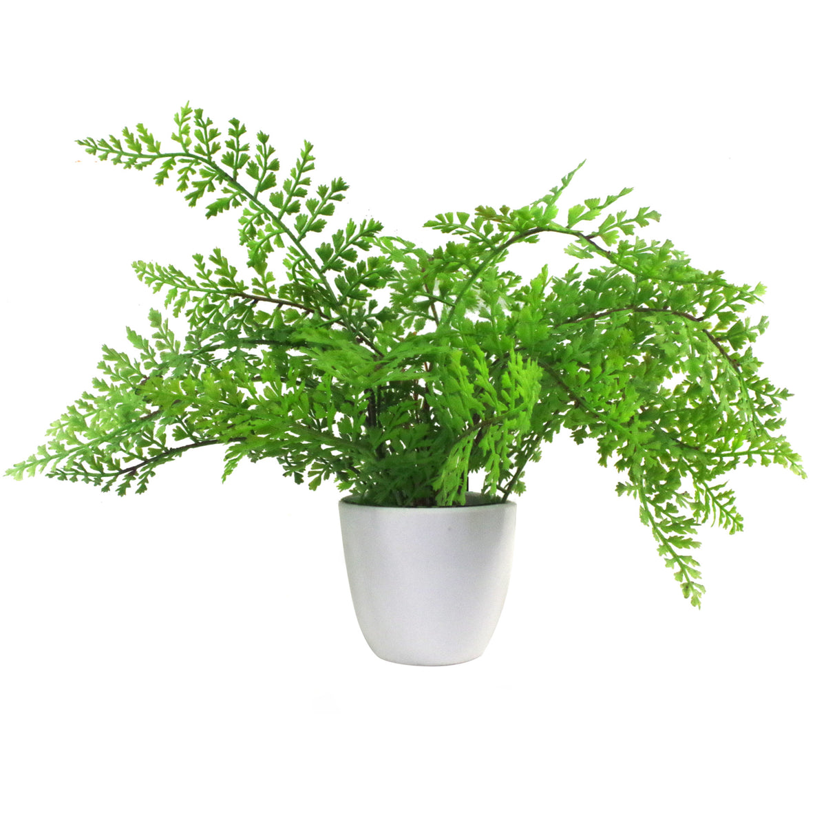 30cm Artificial Potted Royal Fern – image 2