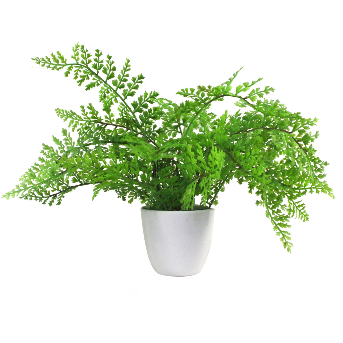 30cm Artificial Potted Southern Wood Fern – image 5