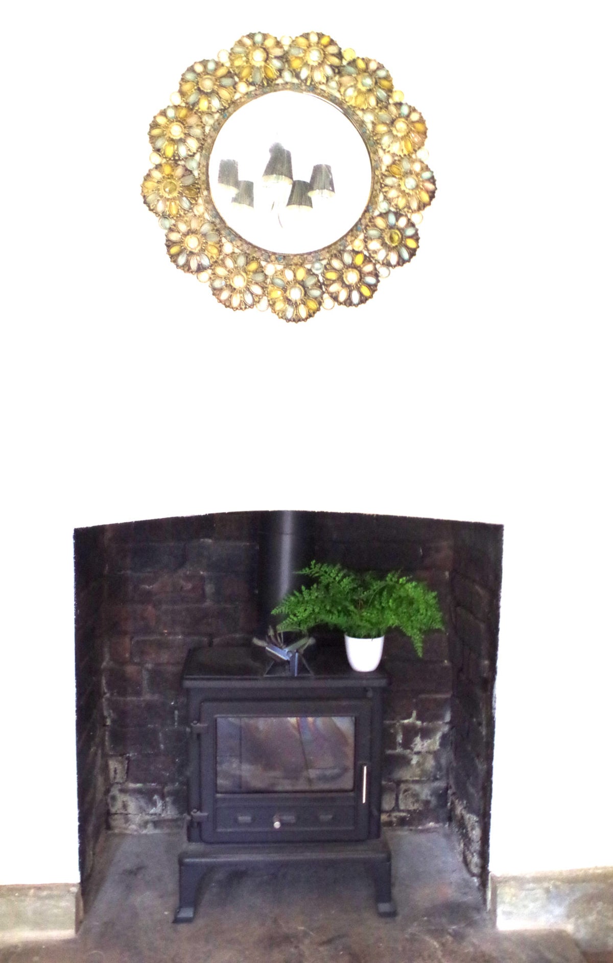 Pack of 3 x 30cm Artificial Ferns - Southern Wood - Lady and Royal - Potted – image 4