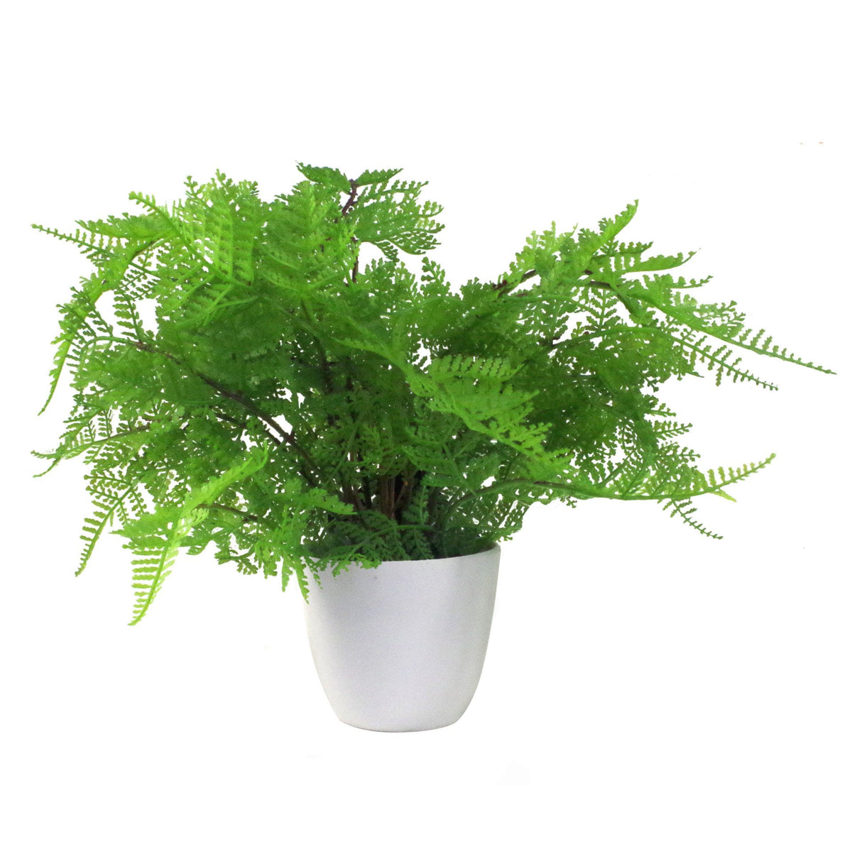 Pack of 3 x 30cm Artificial Ferns - Southern Wood - Lady and Royal - Potted – image 7