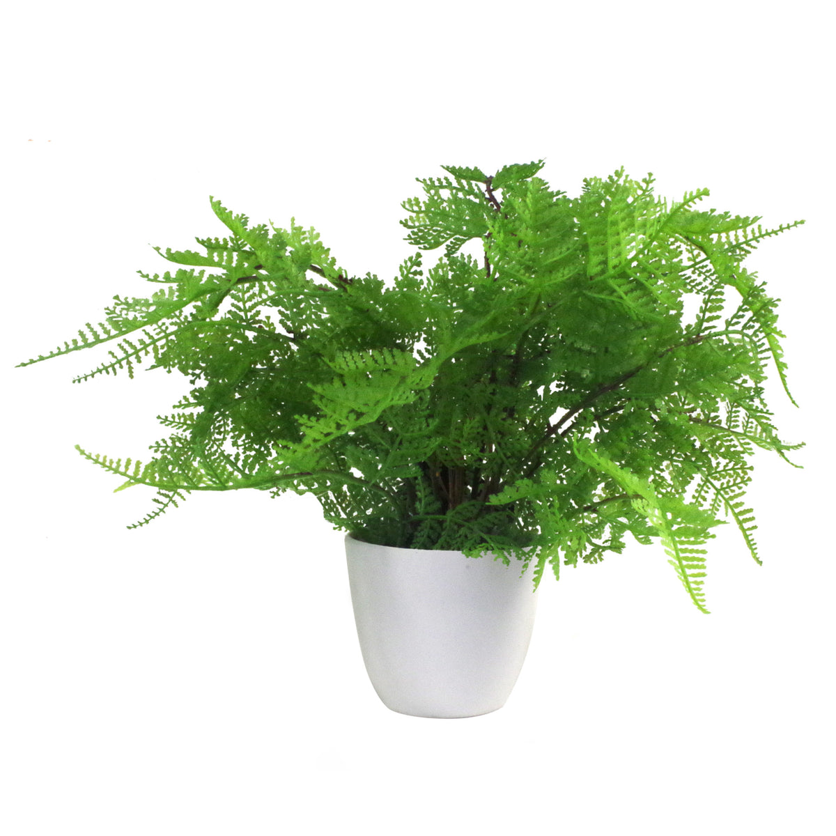 30cm Artificial Potted Lady Fern (Athyrium Filix-Femina) – image 2