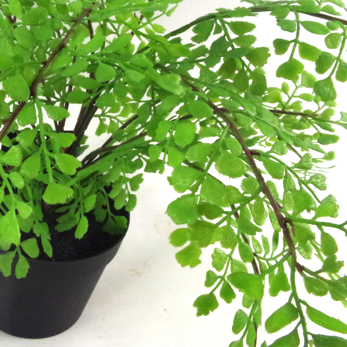 35cm Artificial Potted Fern Plant (Southern Maidenhair Fern) – image 3