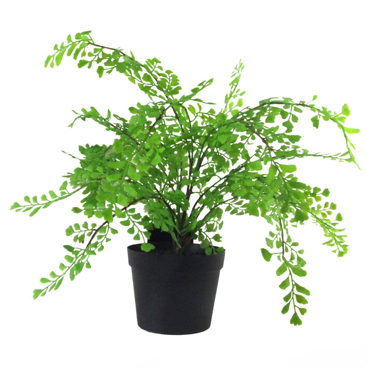 35cm Artificial Potted Fern Plant (Southern Maidenhair Fern) – image 2