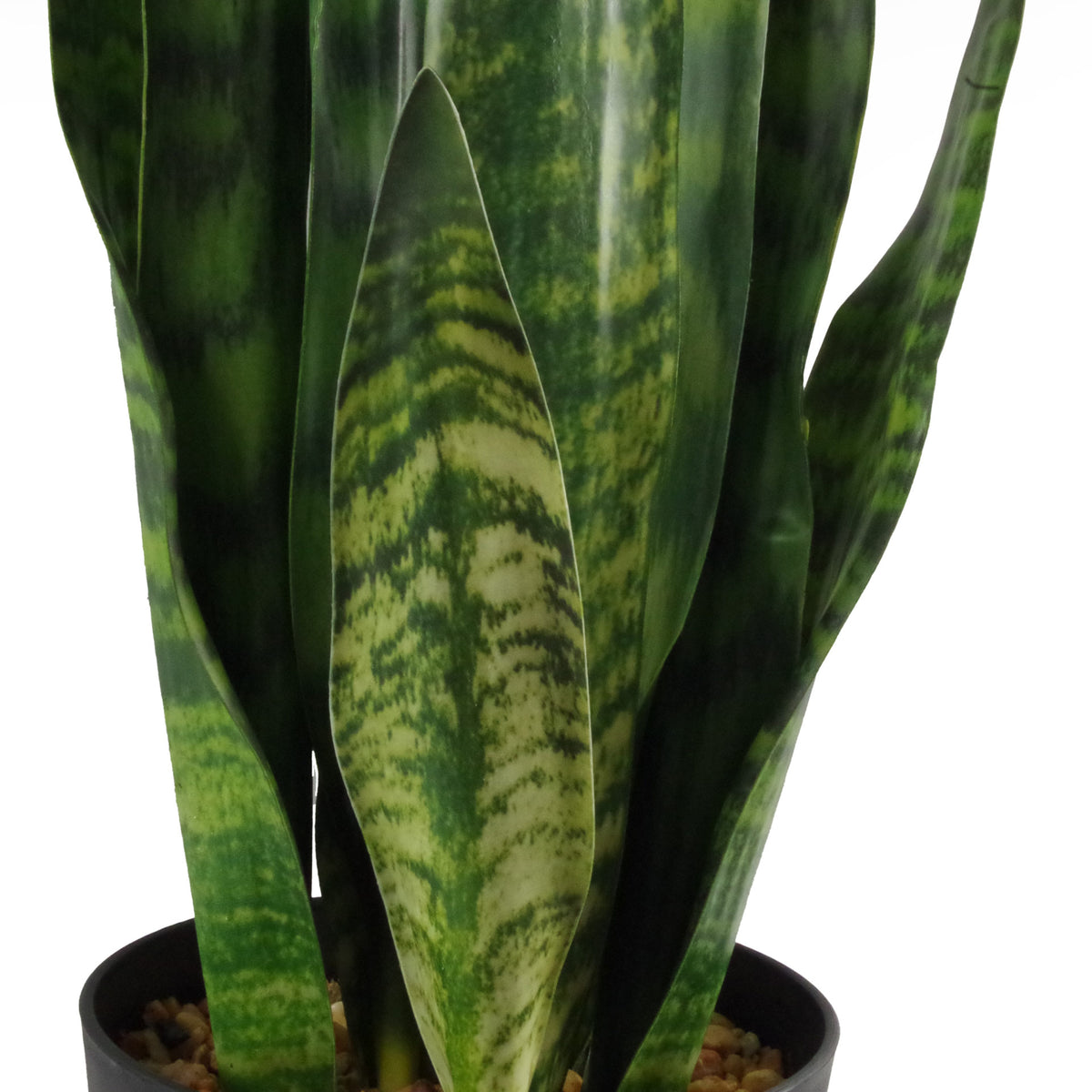 70cm Artificial Sansevieria Zeylanica Plant – image 5