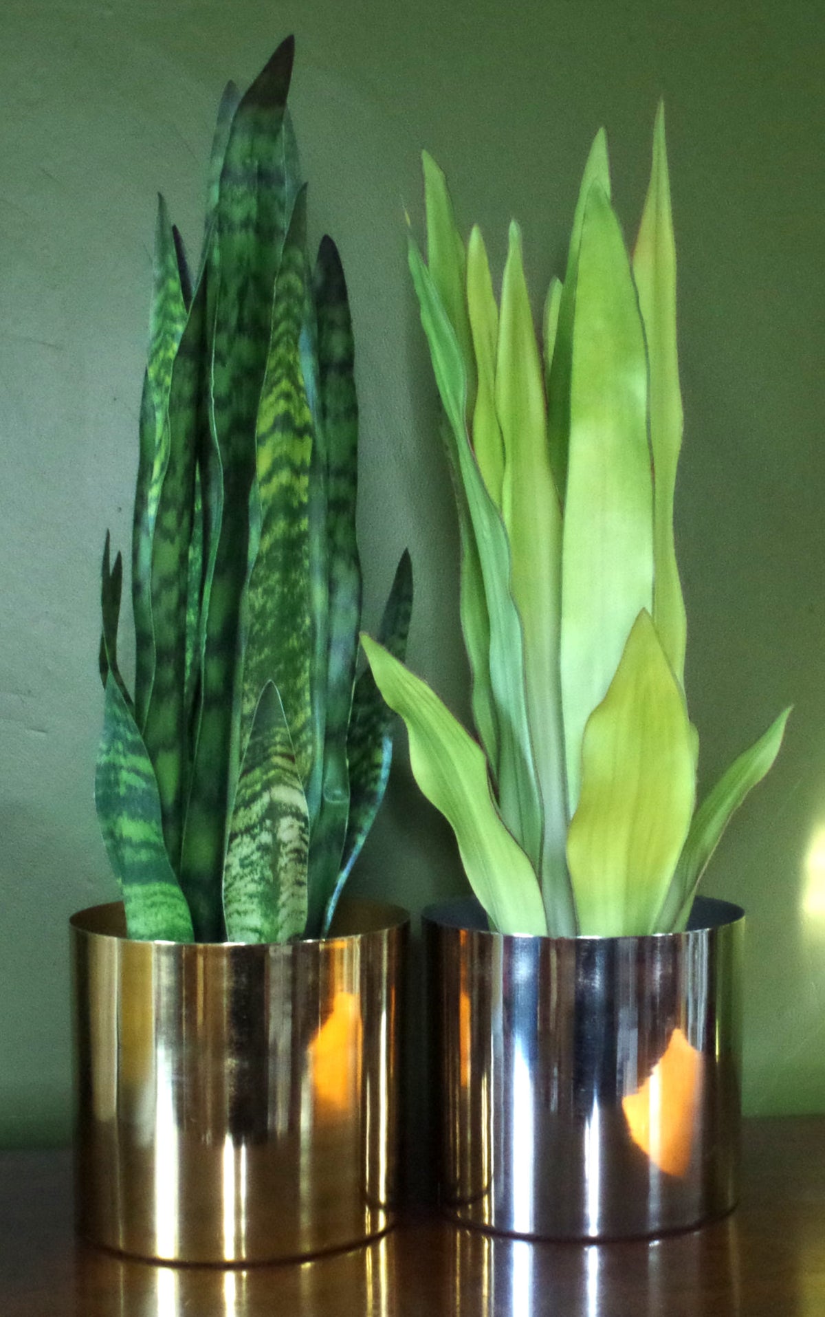 70cm Artificial Sansevieria Zeylanica Plant – image 4