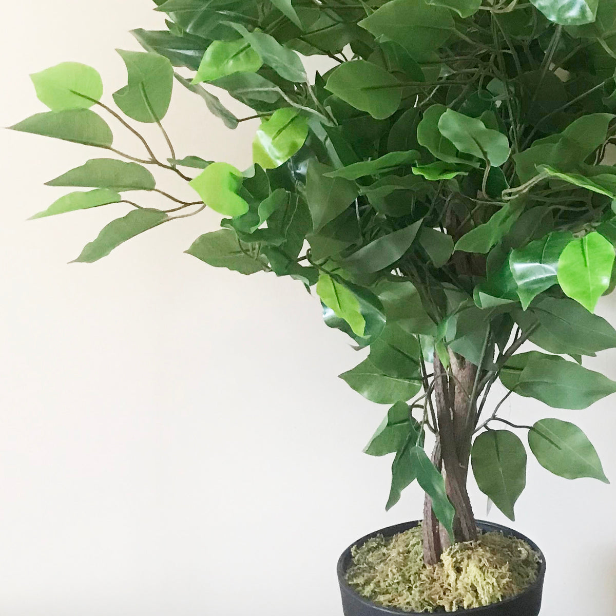 60cm Artificial Ficus Tree / Plant - Large Bushy Shape – image 4