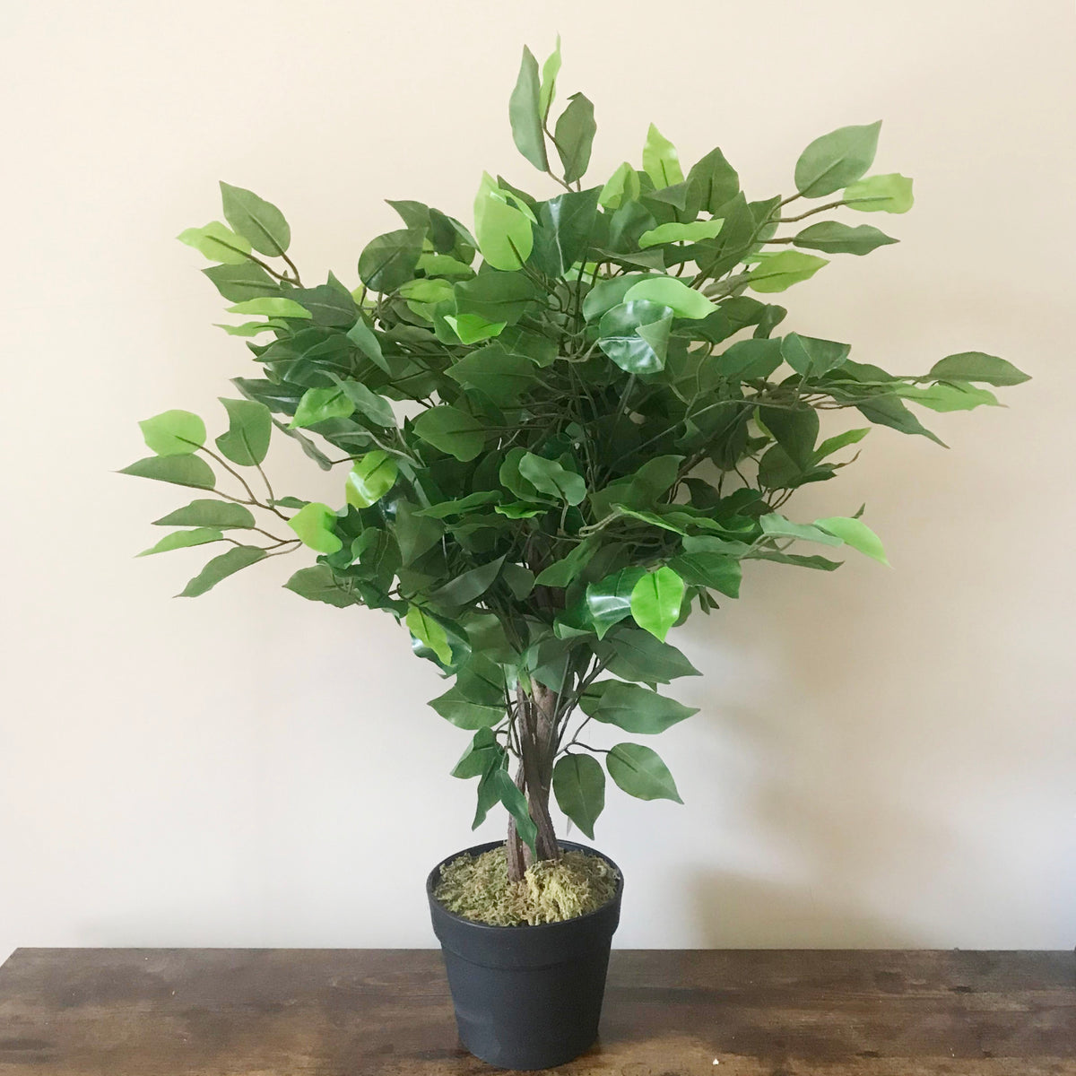 60cm Artificial Ficus Tree / Plant - Large Bushy Shape – image 3