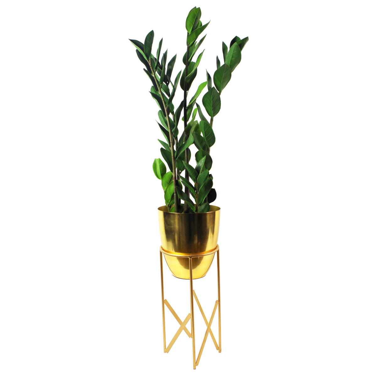 75cm Artificial Zanzibar Green Gem Zamioculcas Succulent Indoor Plant – image 6
