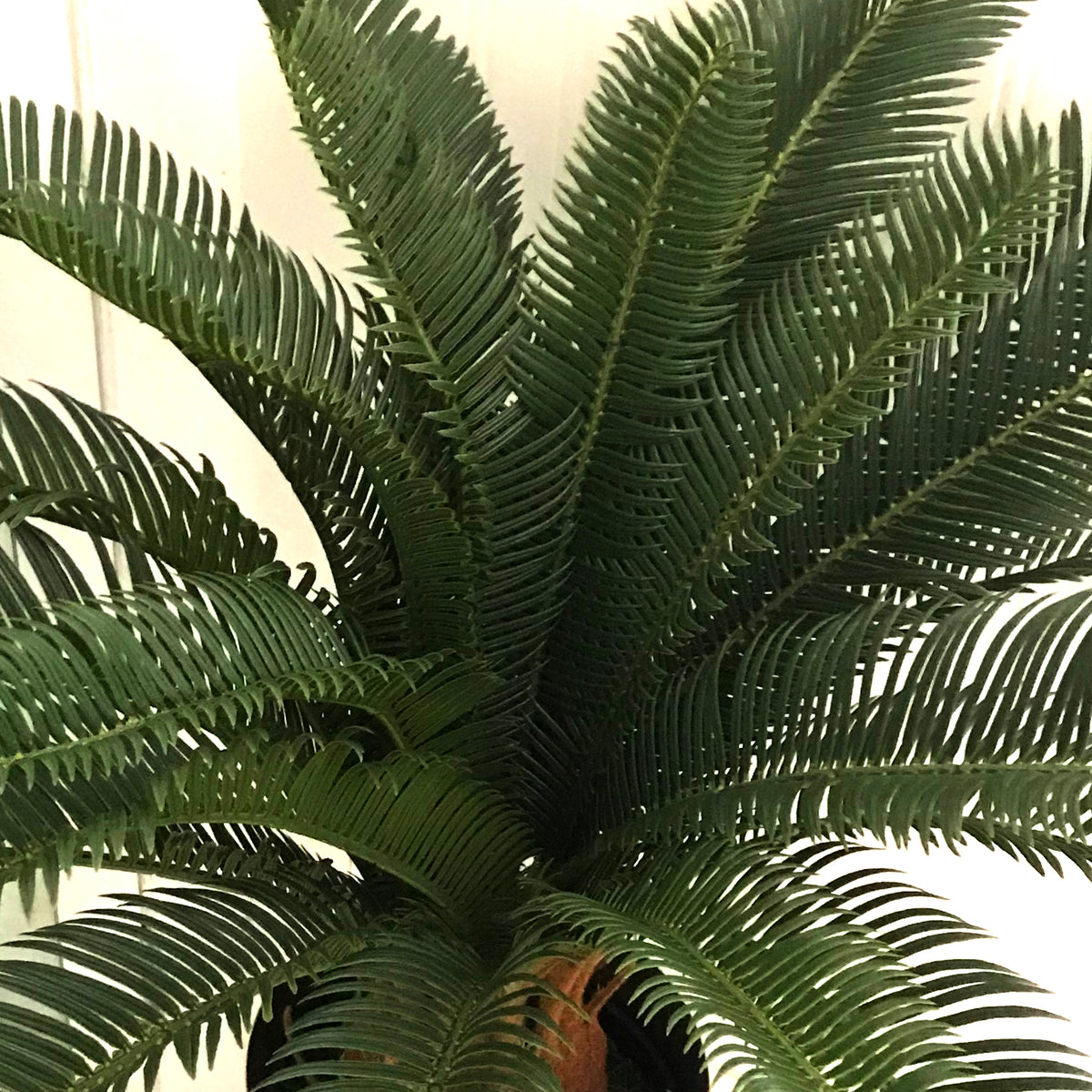 70cm Artificial Tropical Cycas Palm Plant – image 3