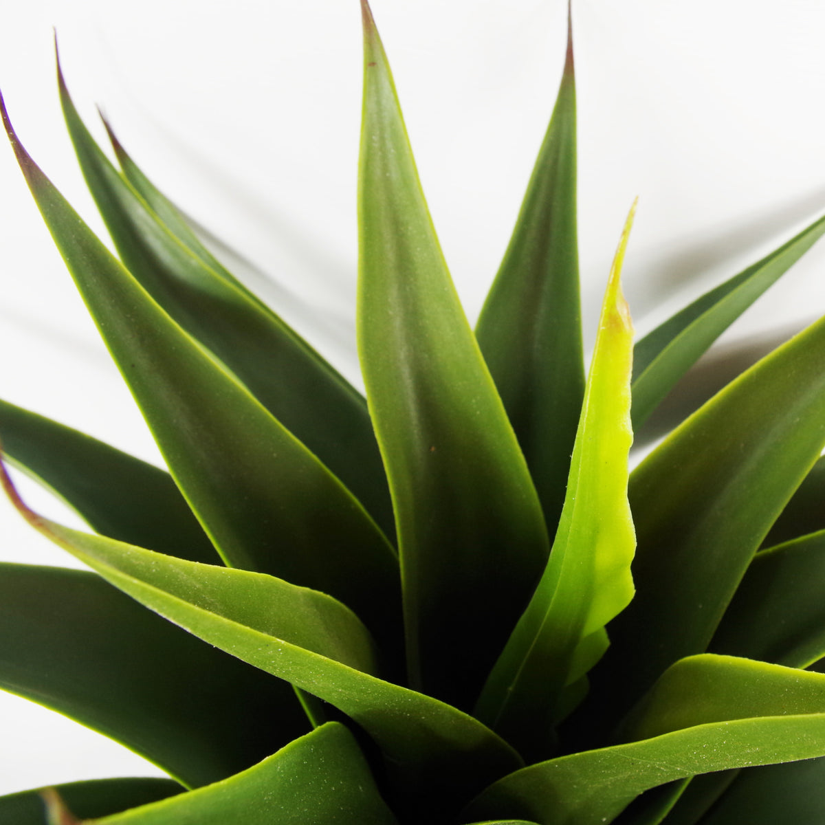 55cm Artificial Yucca Plant – image 3
