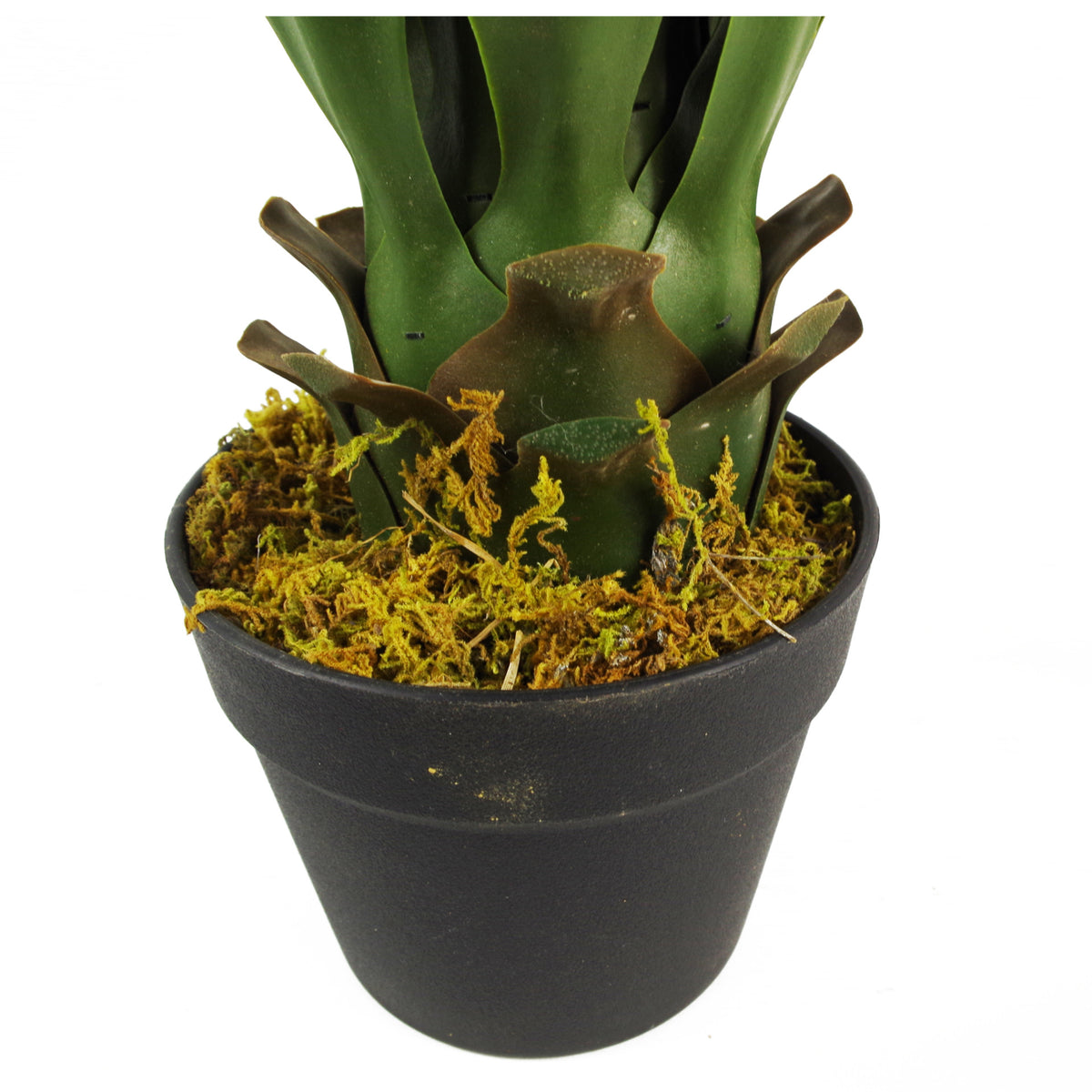 55cm Artificial Yucca Plant – image 4