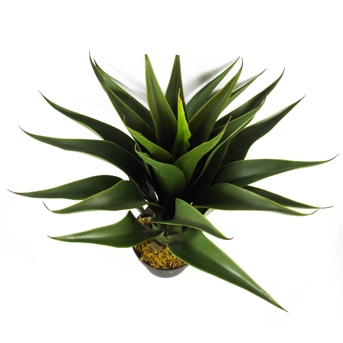 55cm Artificial Yucca Plant – image 5