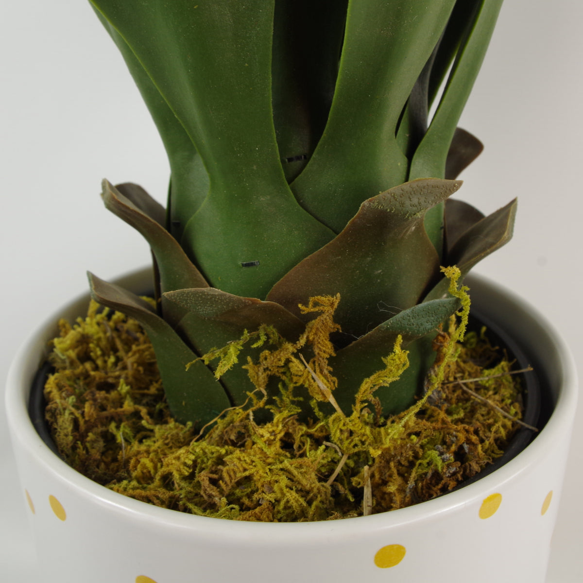 55cm Artificial Yucca Plant – image 7