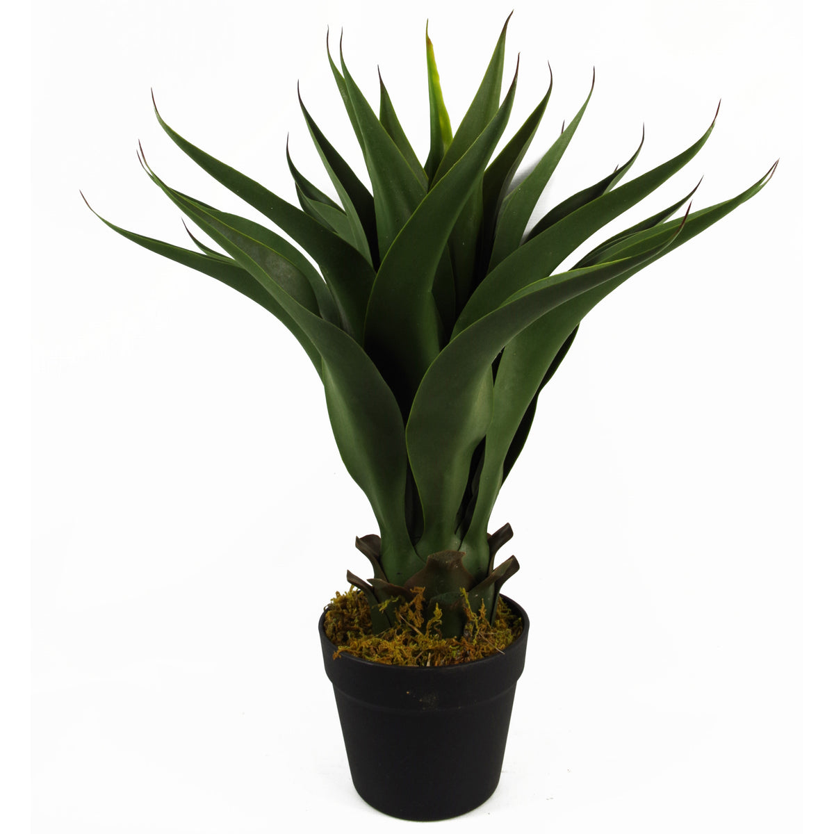 55cm Artificial Yucca Plant – image 2