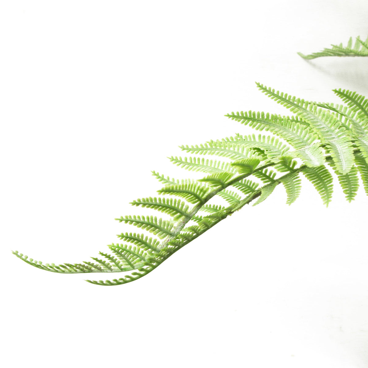 60cm Artificial Bushy Dixie Wood Fern Faux Green Plant – image 10