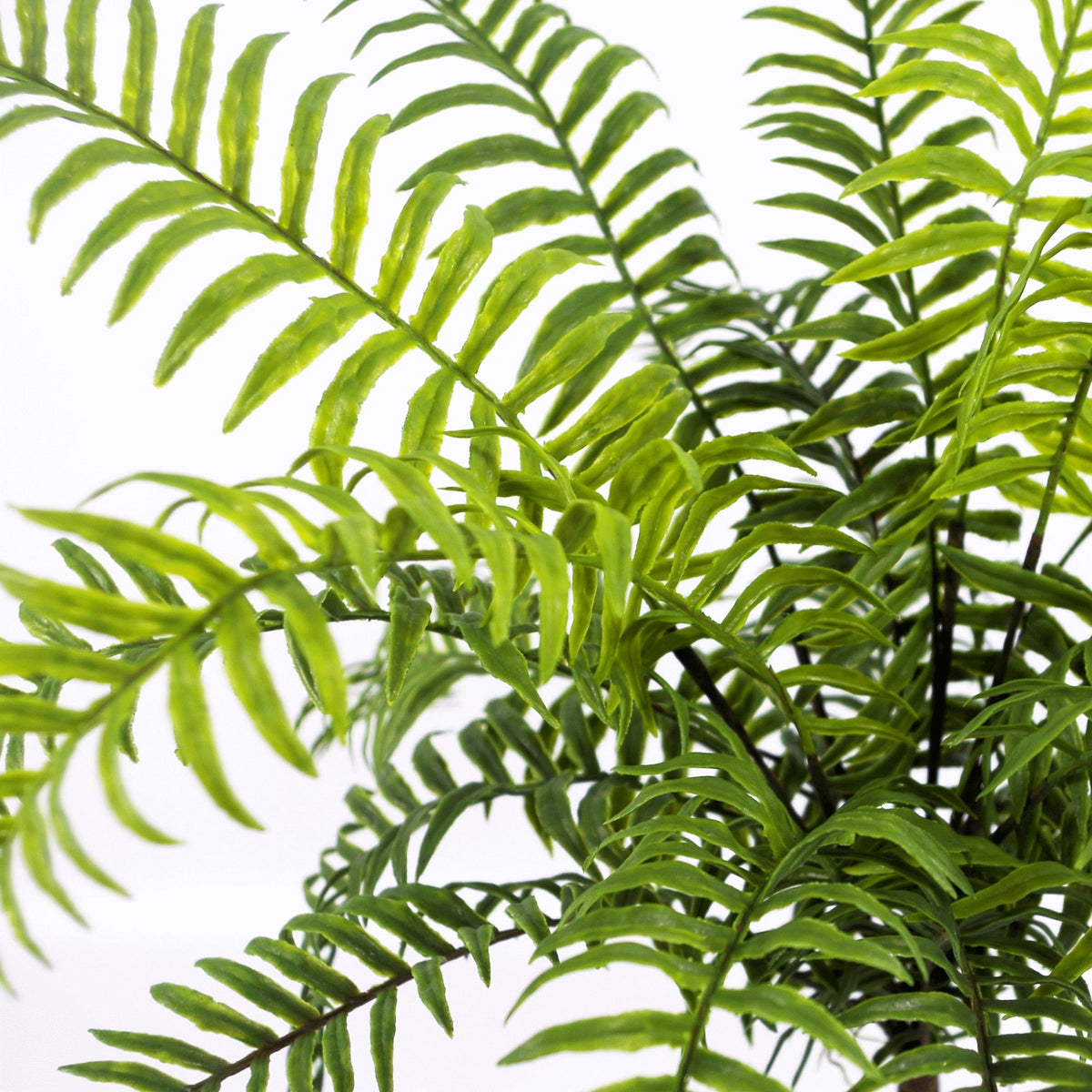 50cm Artificial Boston Fronded Fern Plant – image 3