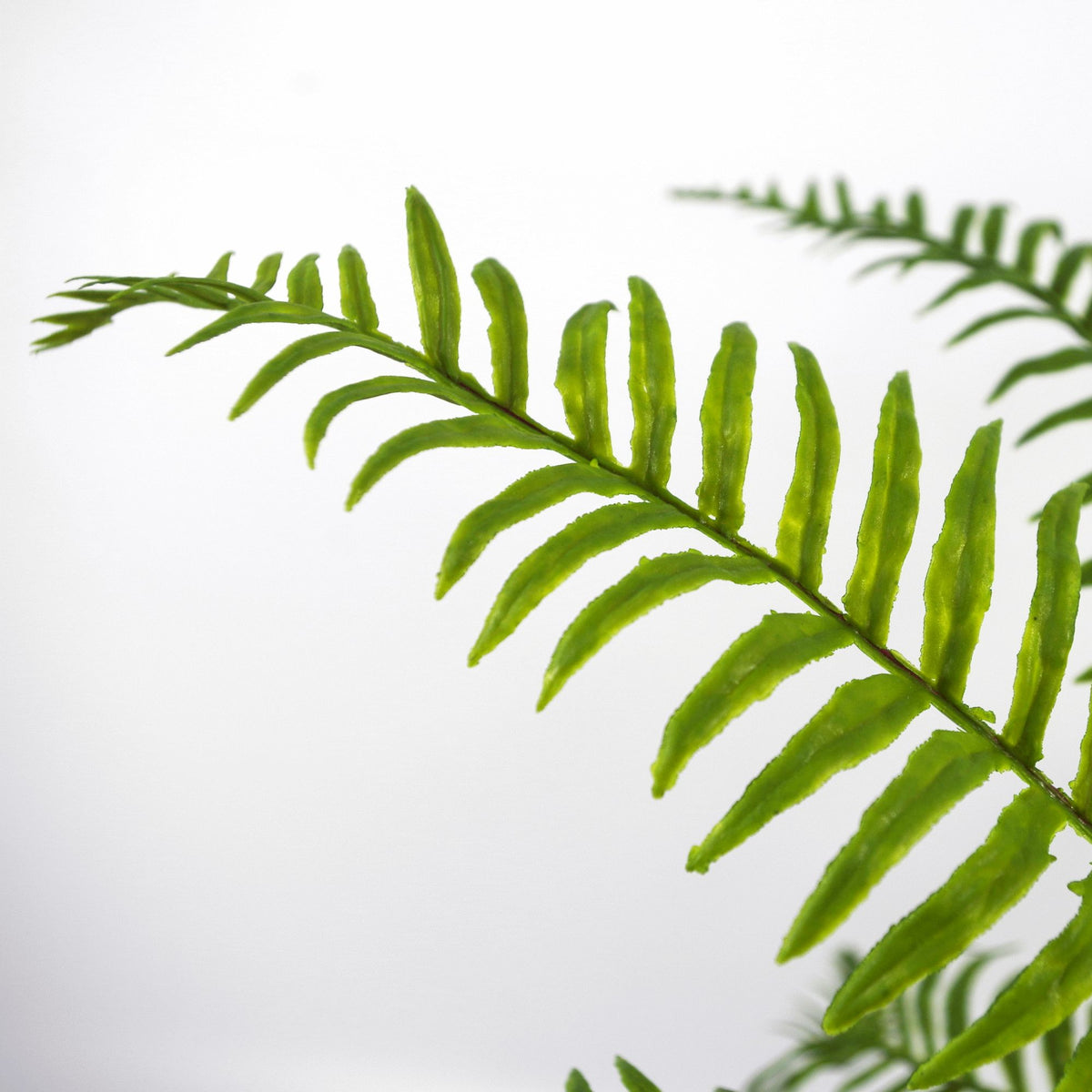 50cm Artificial Boston Fronded Fern Plant – image 4