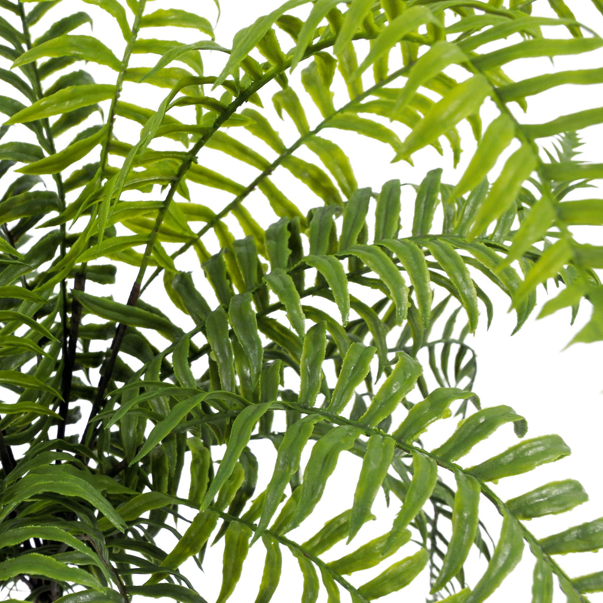 50cm Artificial Boston Fronded Fern Plant – image 6