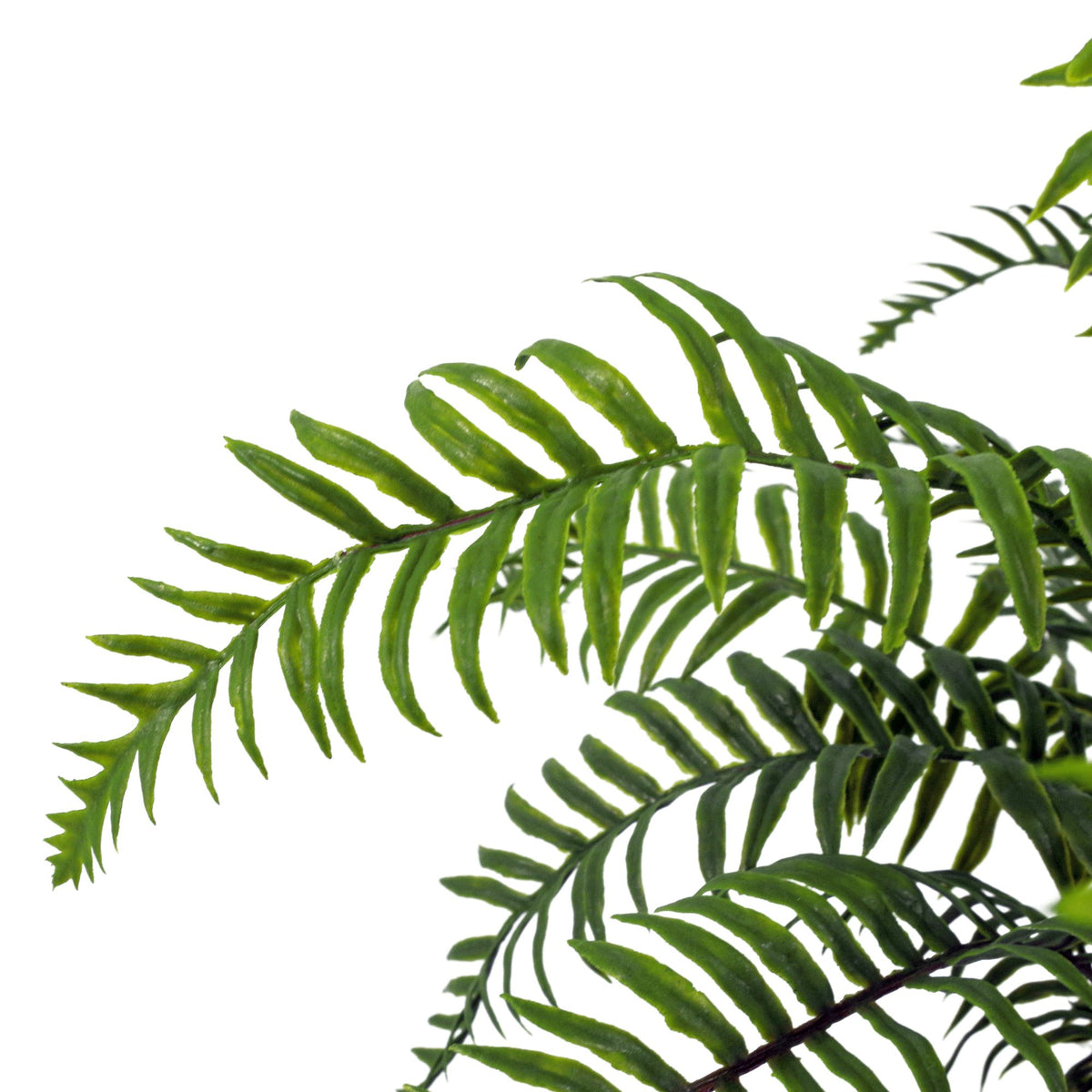 50cm Artificial Boston Fronded Fern Plant – image 7