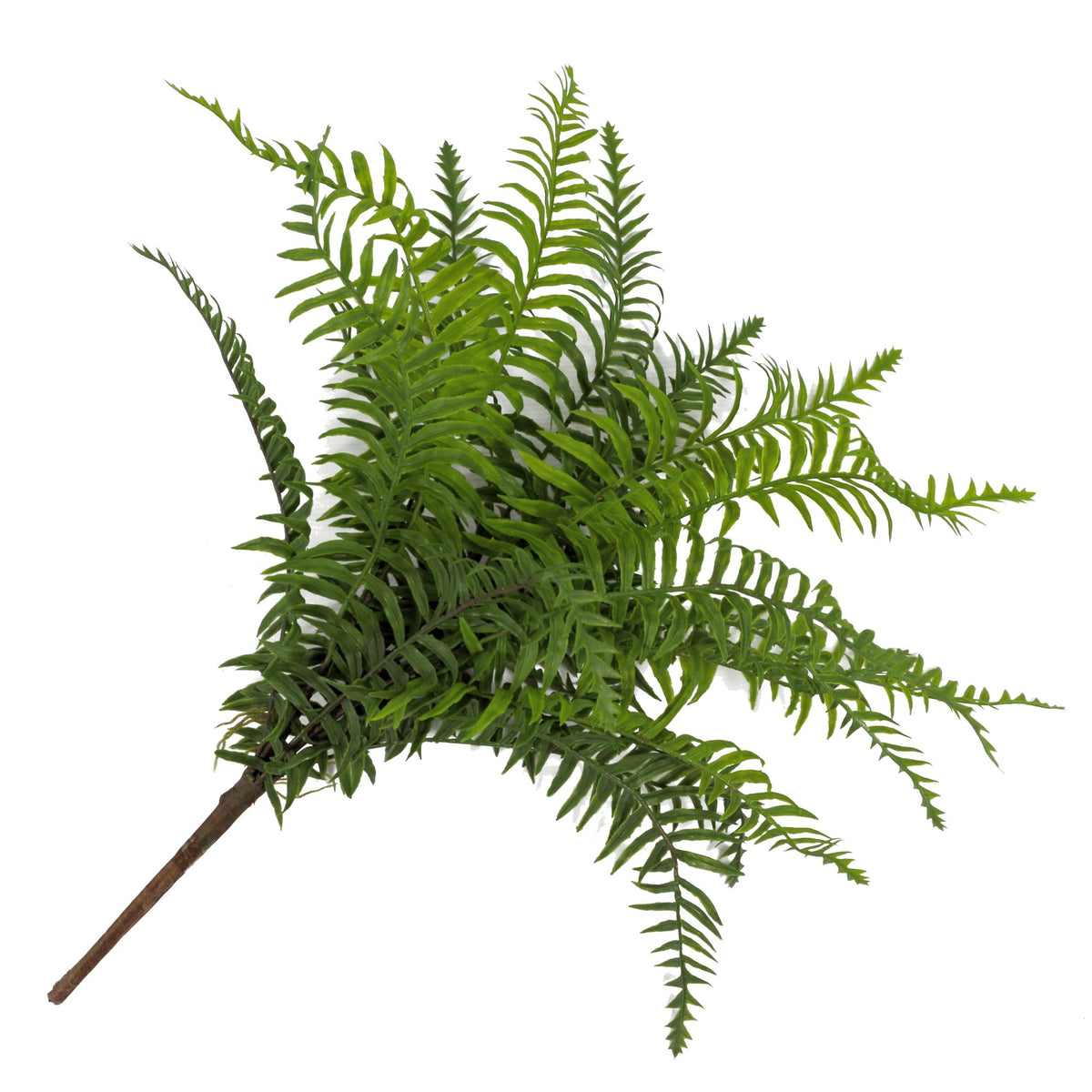 50cm Artificial Boston Fronded Fern Plant – image 8